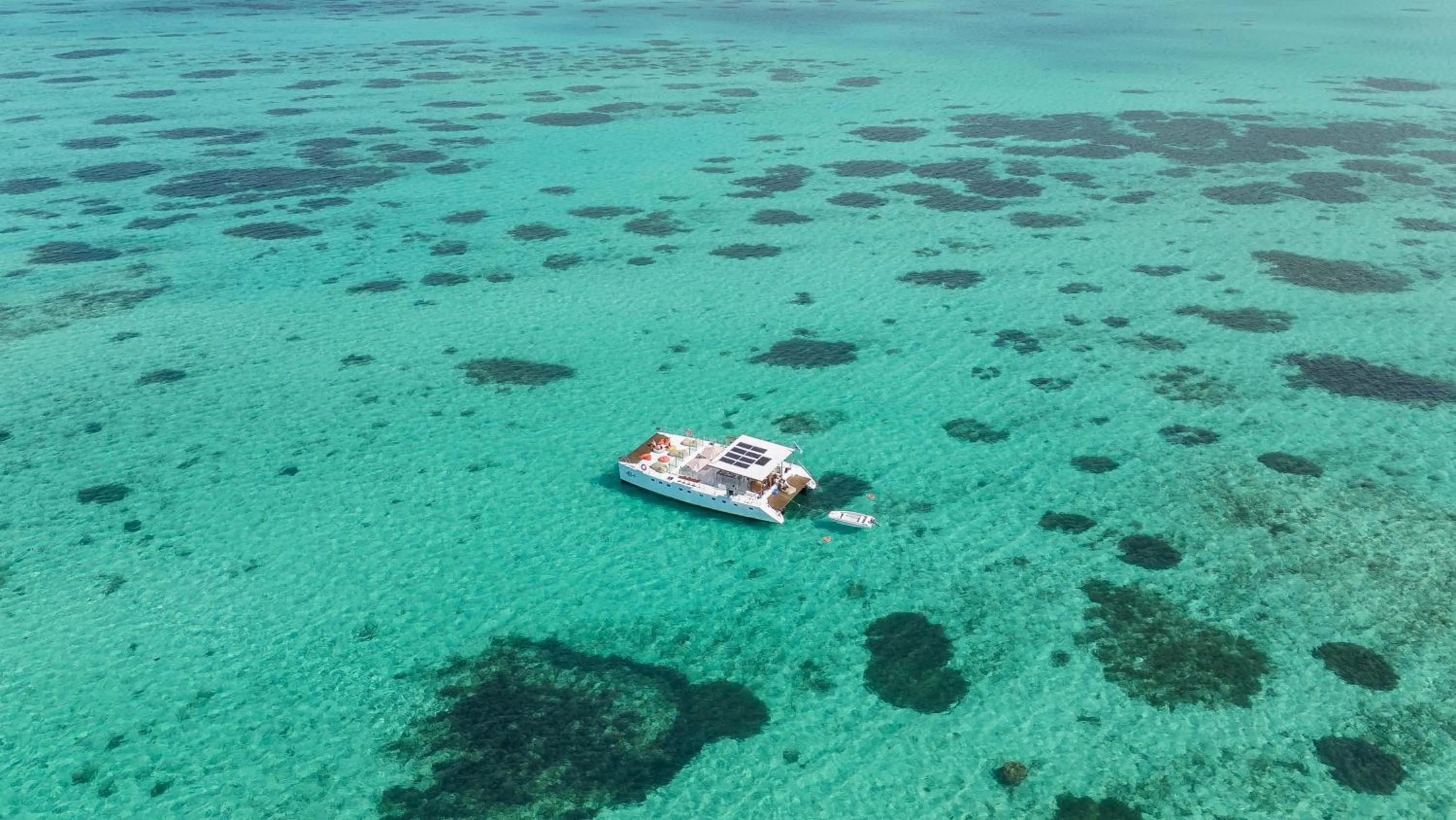 Sea view in Lagoon Attitude (Adults Only)