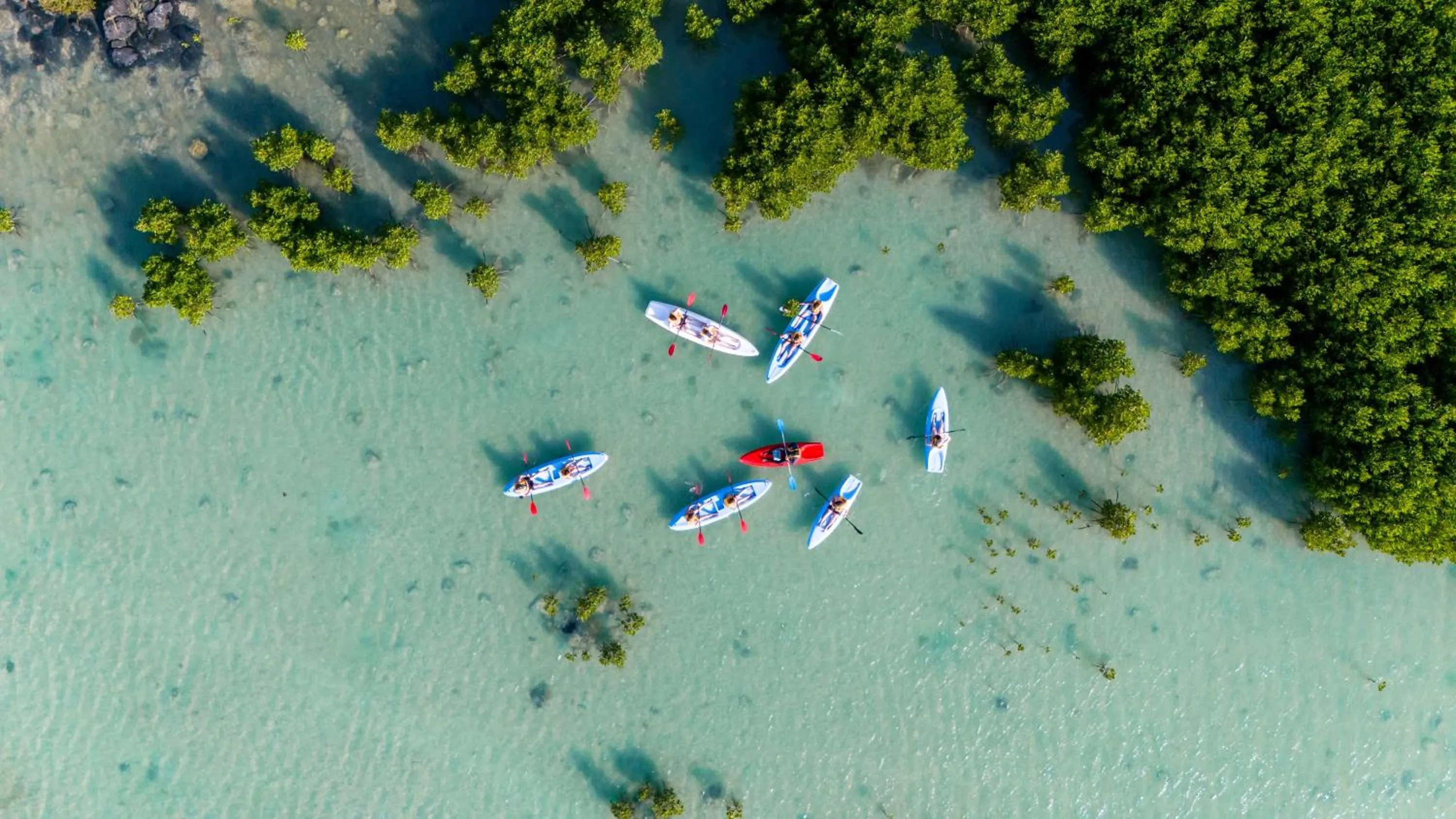 Activities in Lagoon Attitude (Adults Only)