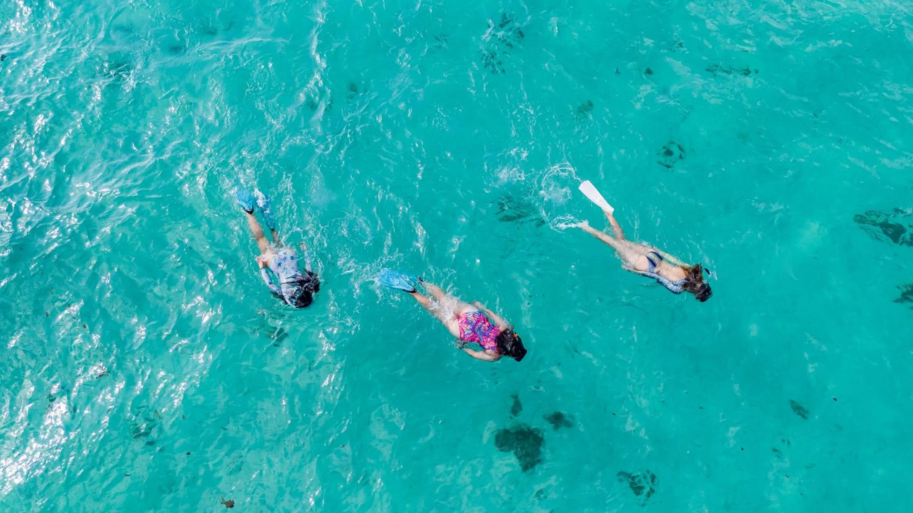 Snorkeling in Lagoon Attitude (Adults Only)