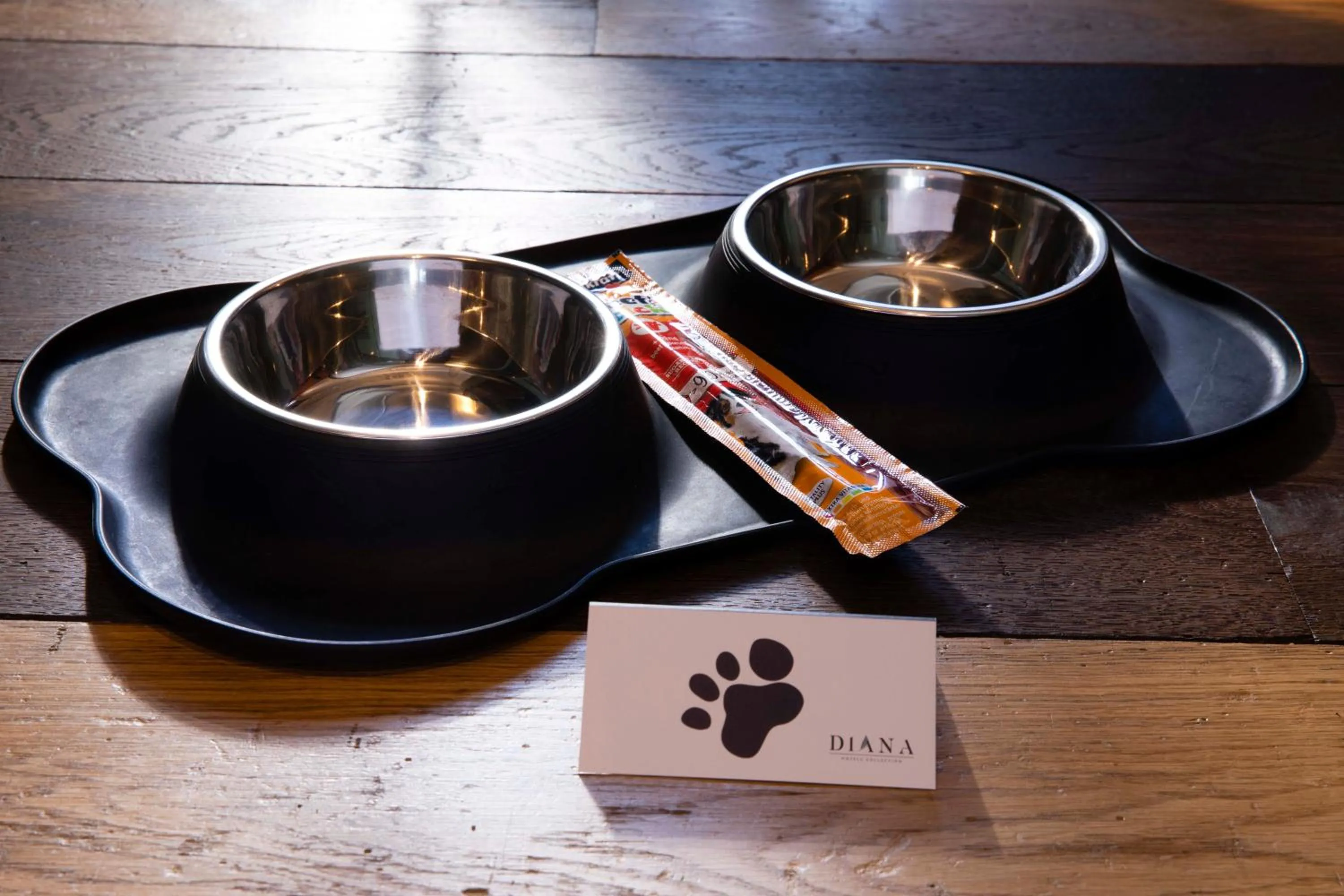 Pets in Hotel Le Colombier