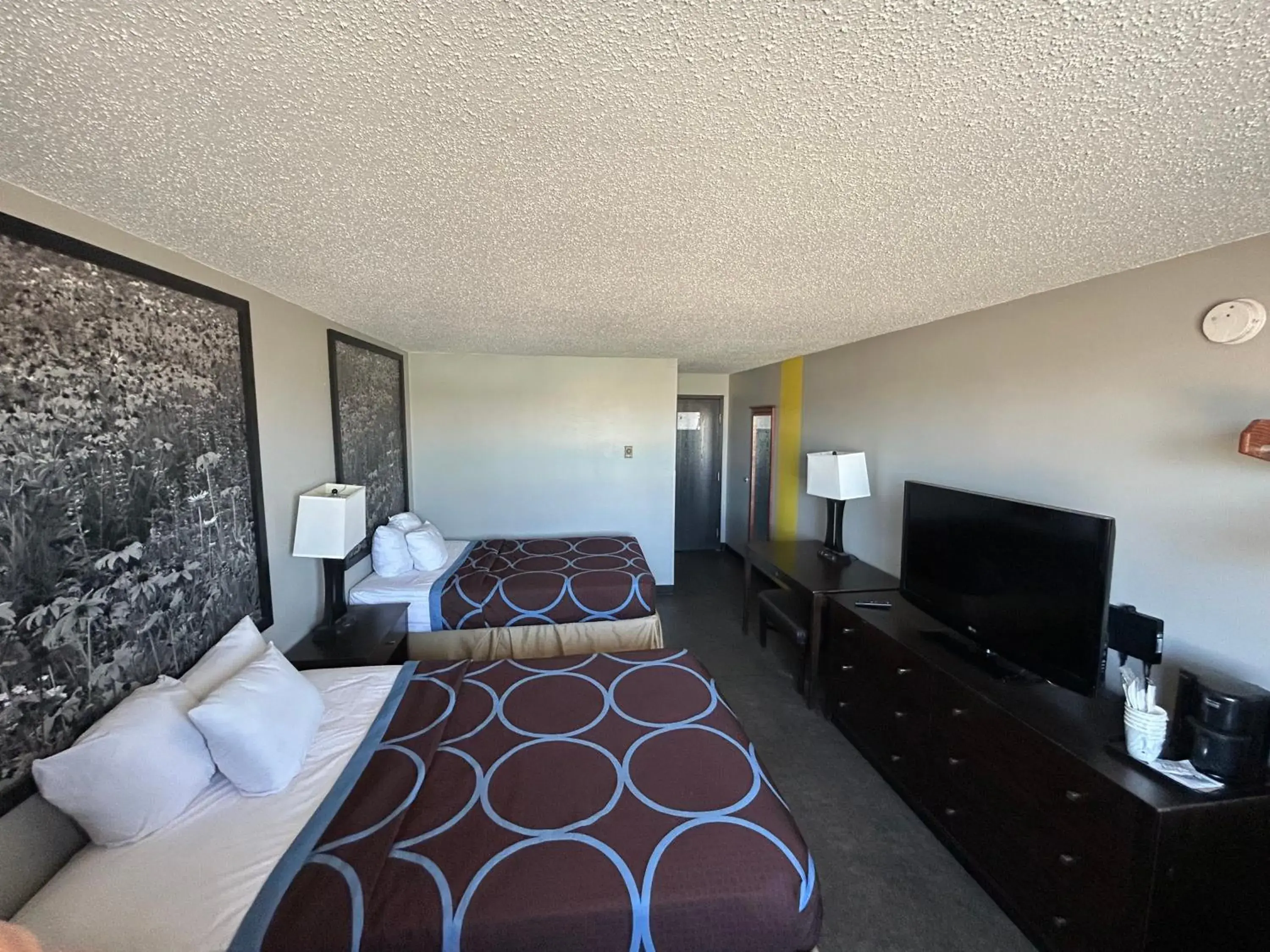 Bed in Super 8 by Wyndham Williston ND Bed in Super 8 by Wyndham Williston ND