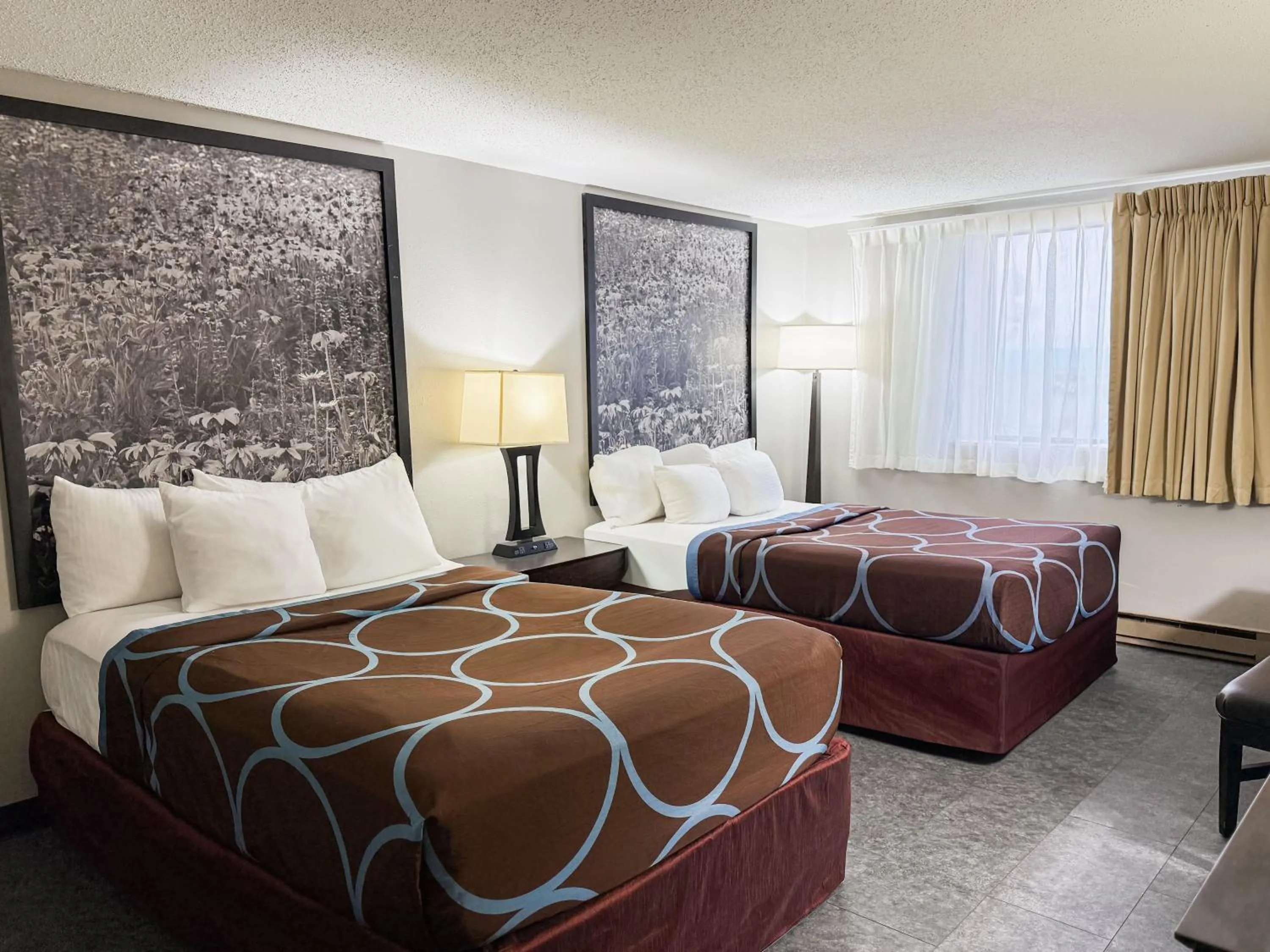 Photo of the whole room, Bed in Super 8 by Wyndham Williston ND