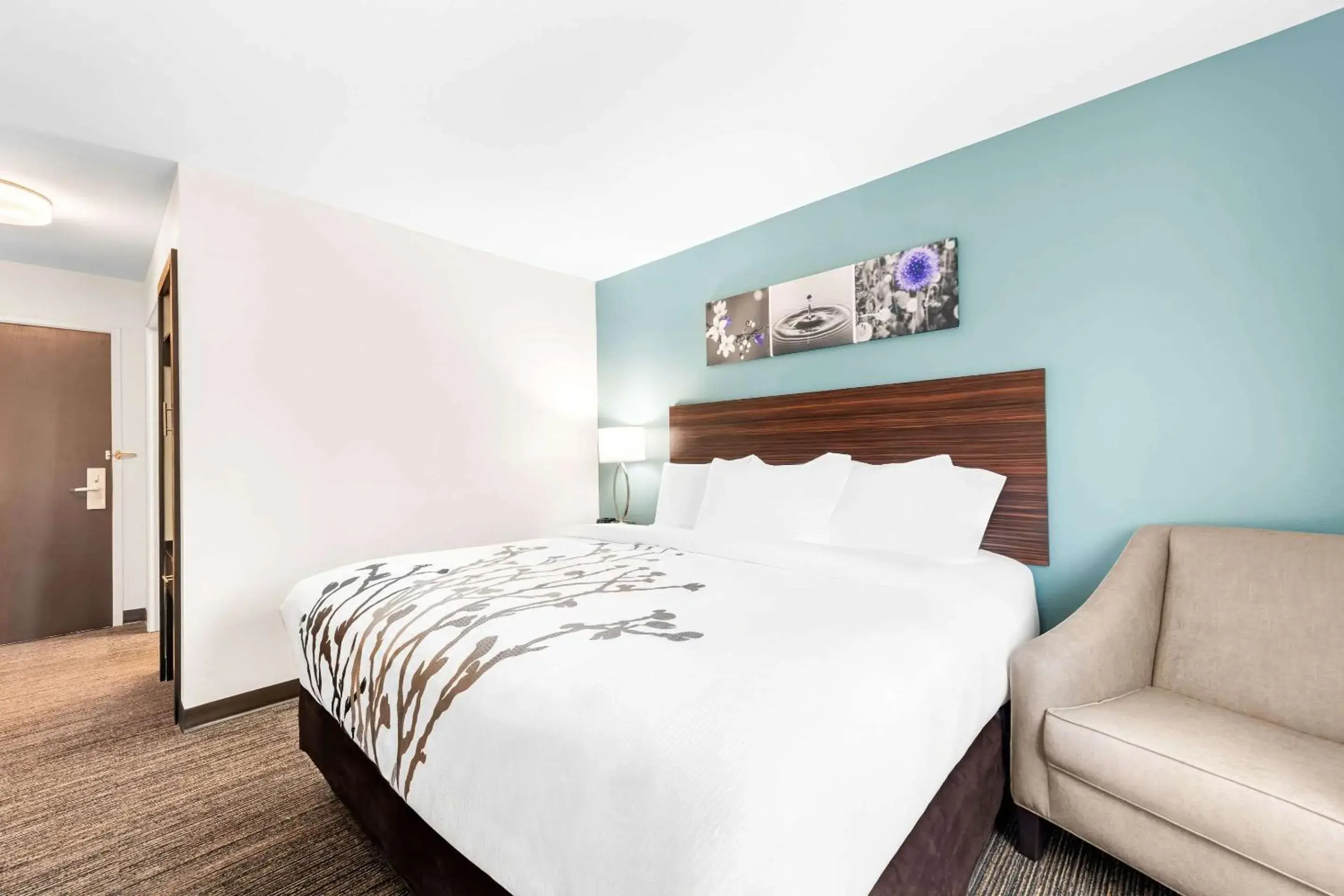 Bedroom, Bed in Sleep Inn & Suites Pigeon Forge Downtown Bedroom, Bed in Sleep Inn & Suites Pigeon Forge Downtown