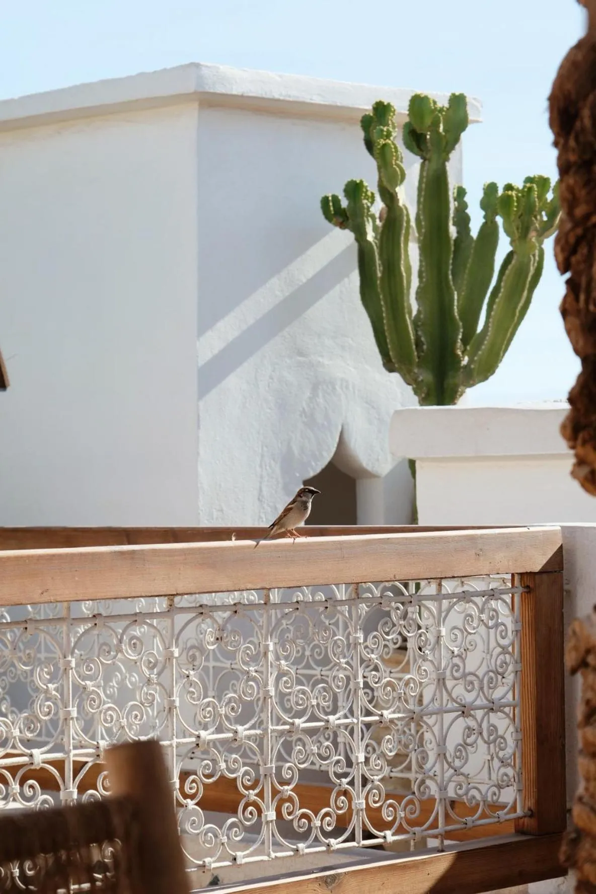 Riad L'Atelier