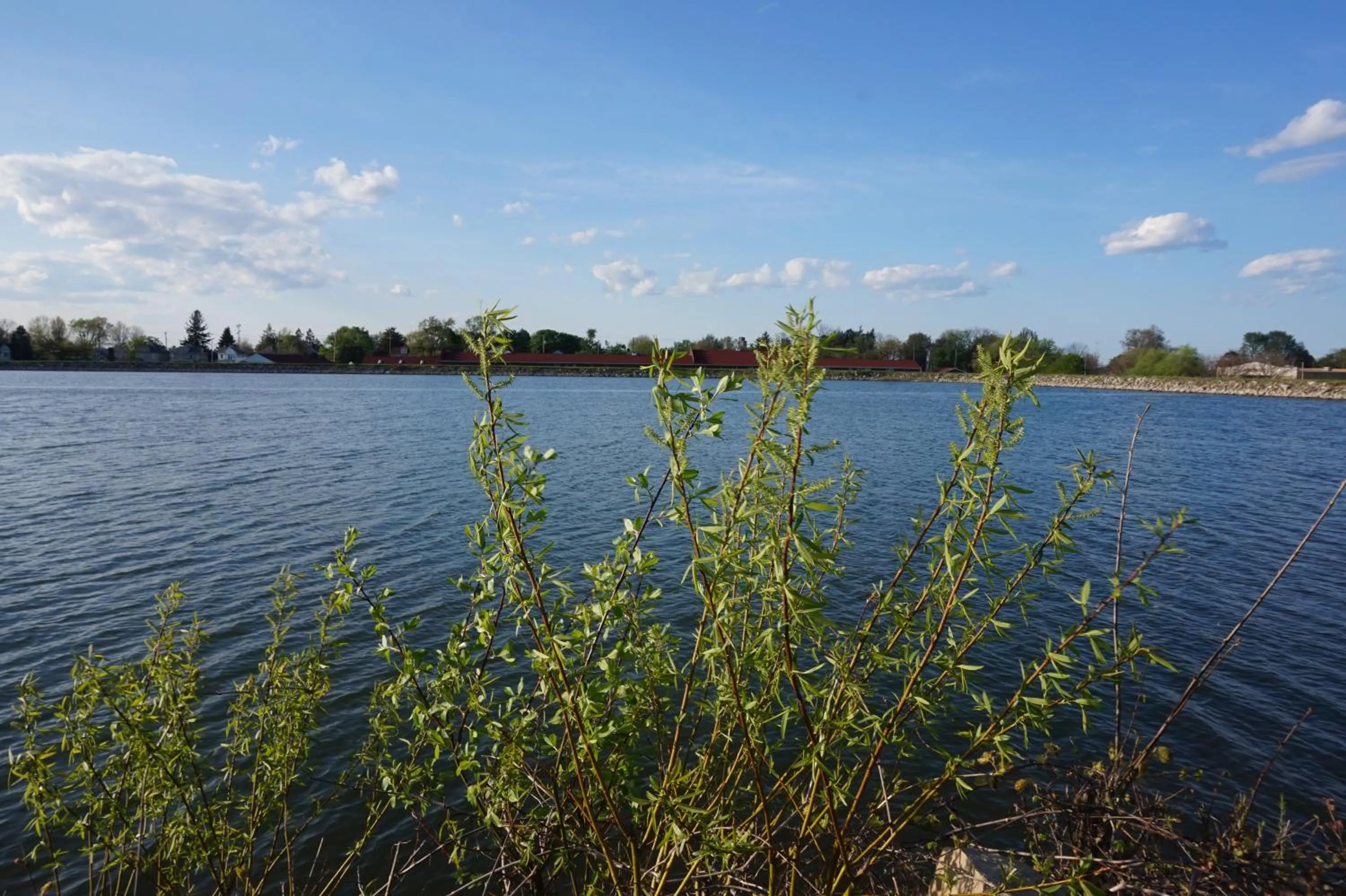 Natural landscape in Bellevue Hotel and Suites