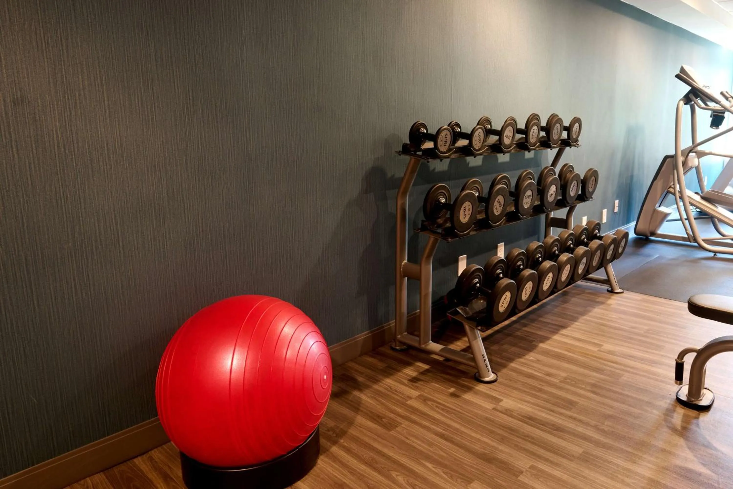 Fitness centre/facilities in Hampton Inn Flemington