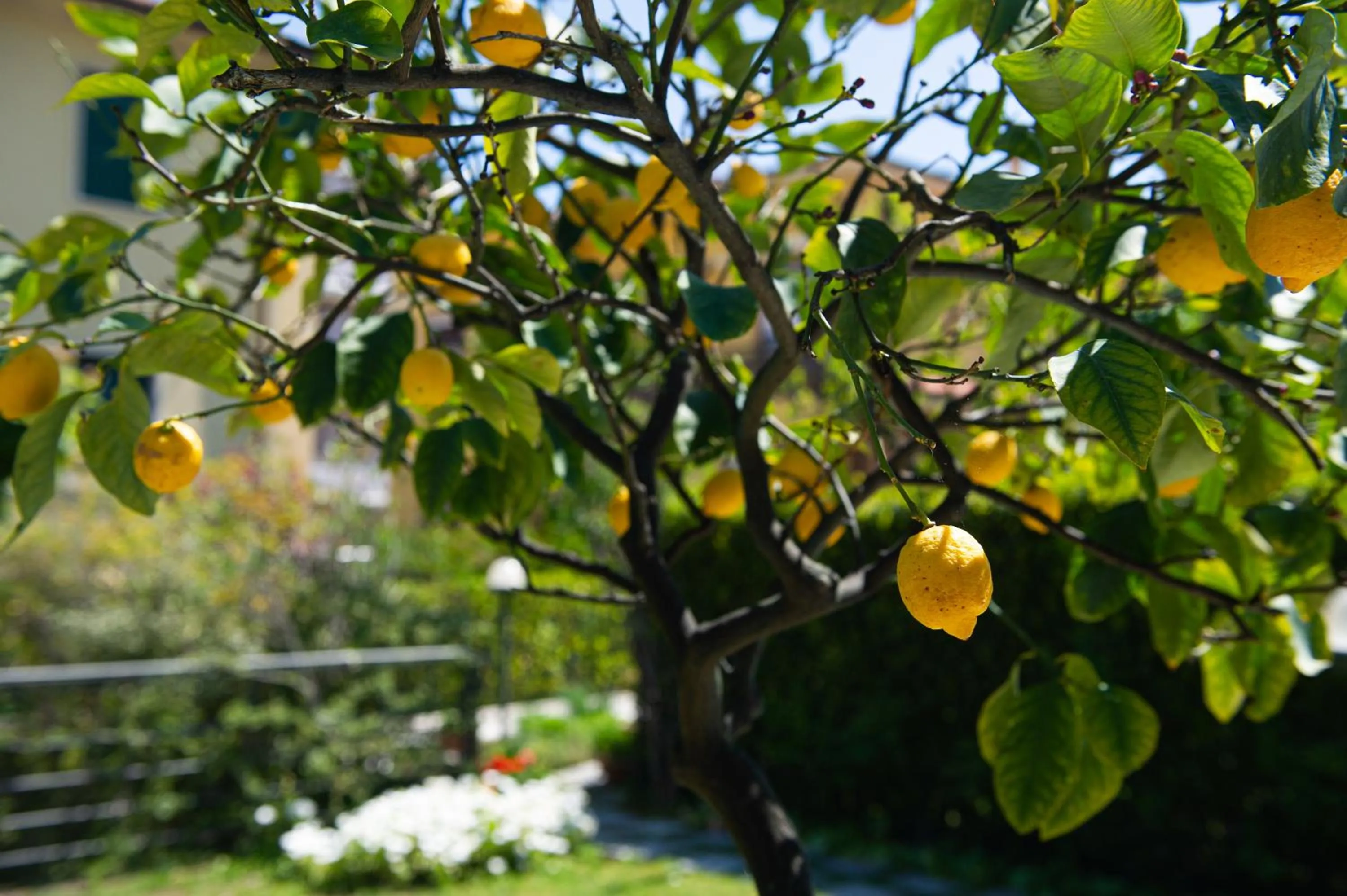 L'Angolo di Lore B&B