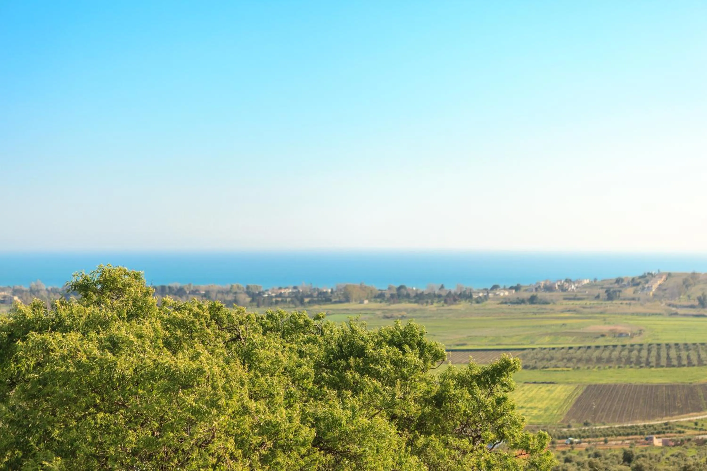 Property building in Torre Bonera. Green Resort