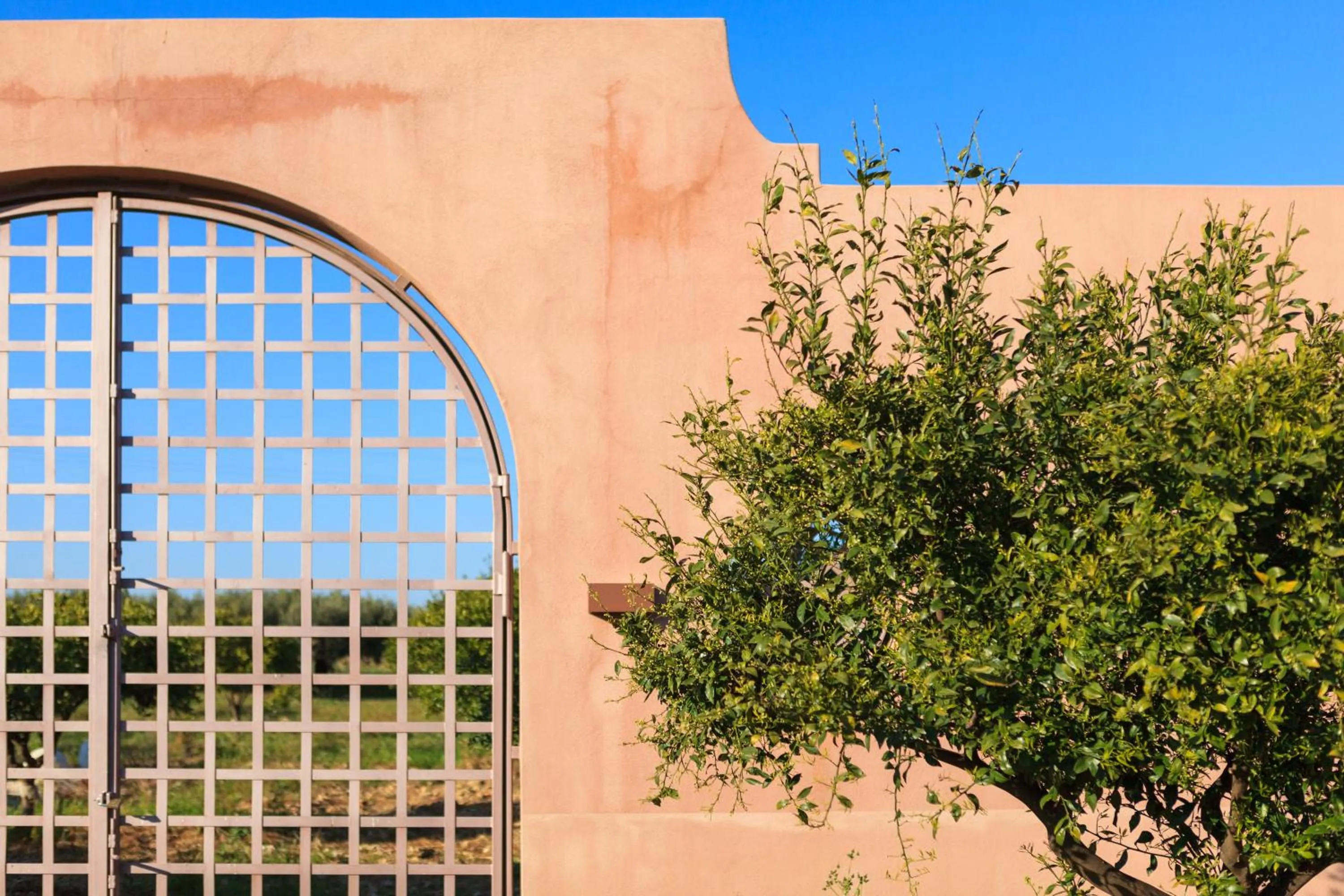 Property building in Torre Bonera. Green Resort