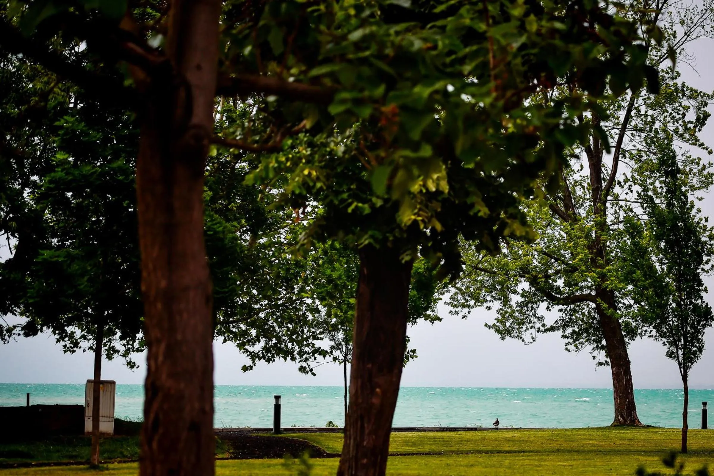 Garden in Oliver Lux