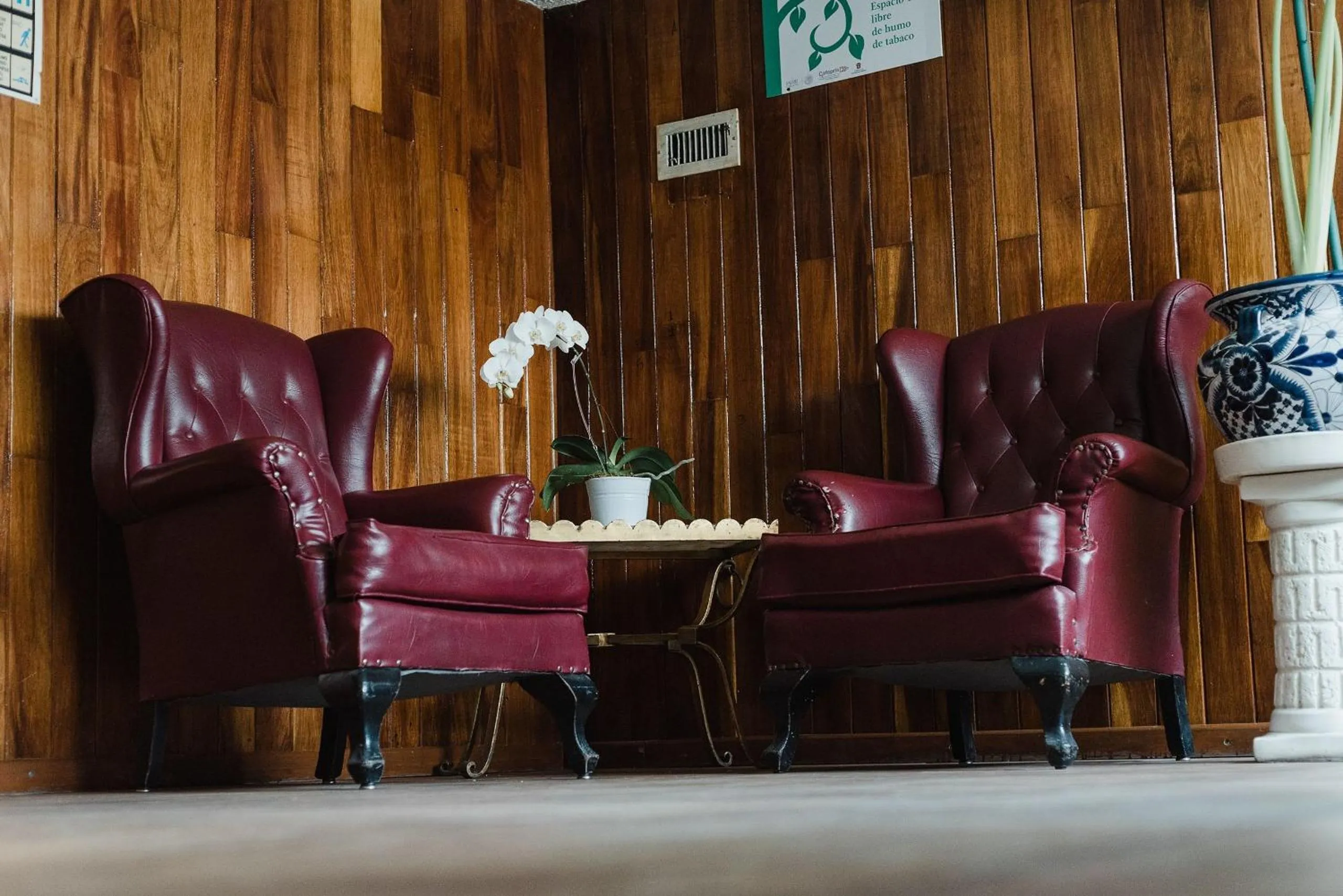 Area and facilities in Hotel Rex