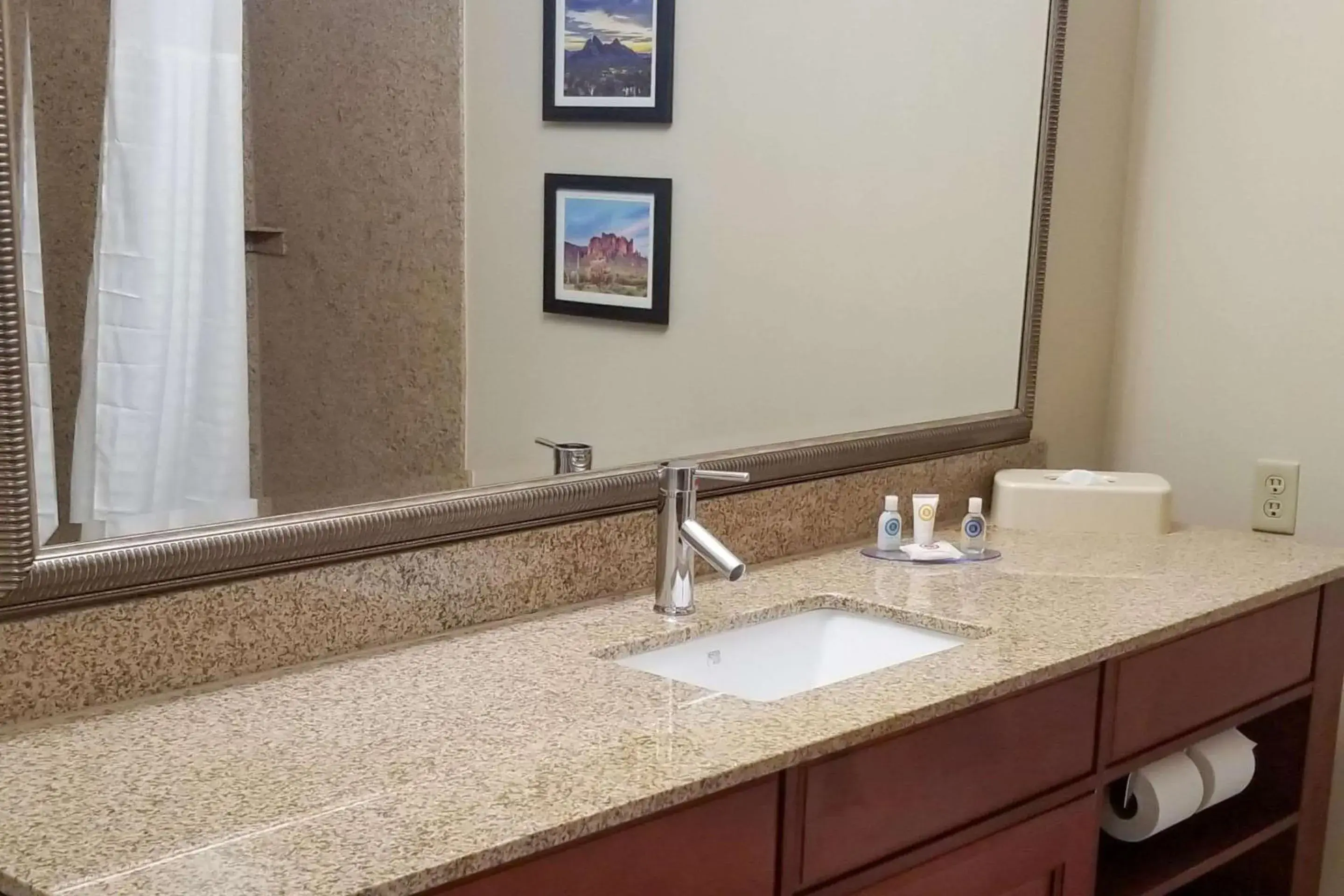Shower, Bathroom in Comfort Inn & Suites Tempe Phoenix Sky Harbor Airport