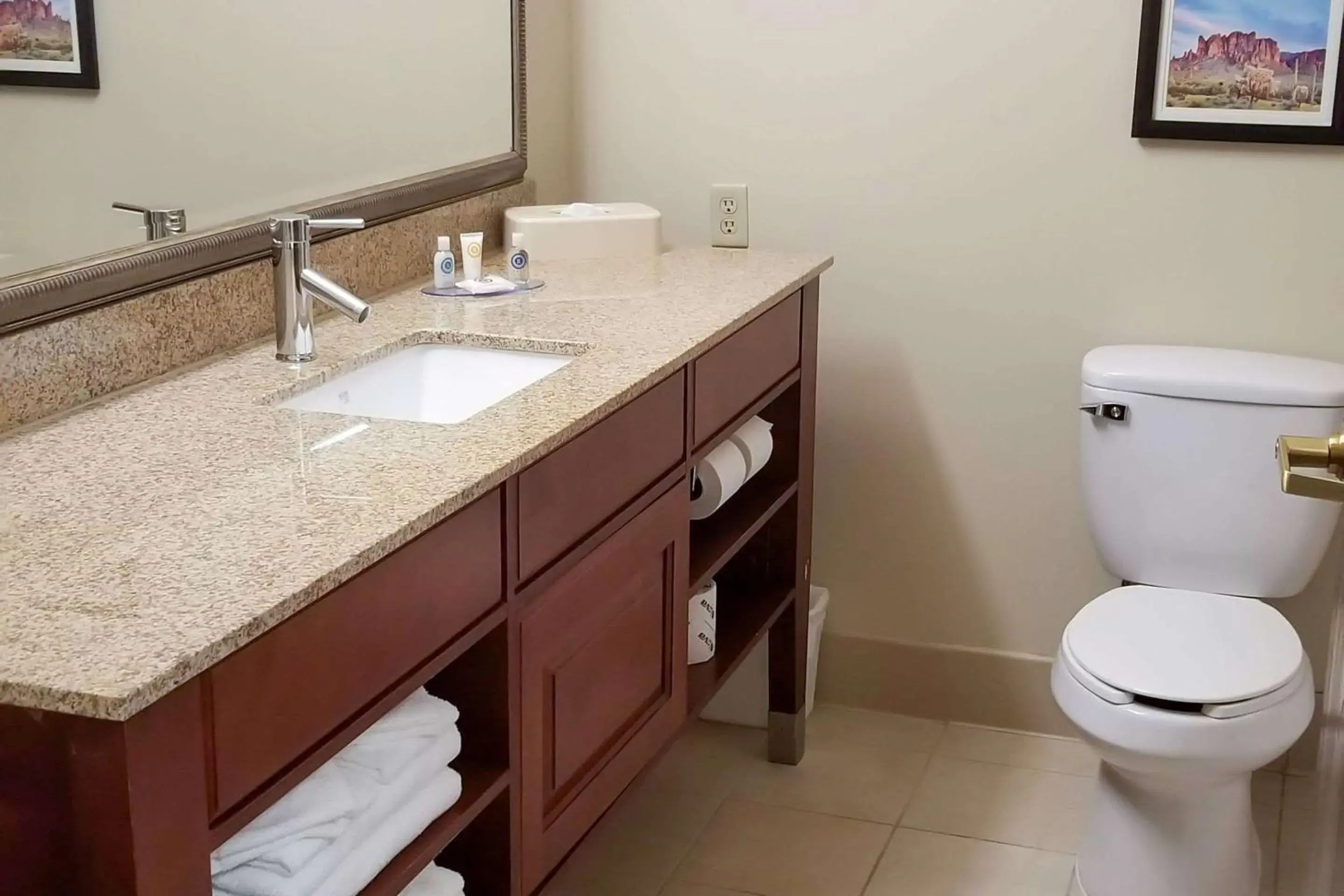 Bathroom in Comfort Inn & Suites Tempe Phoenix Sky Harbor Airport