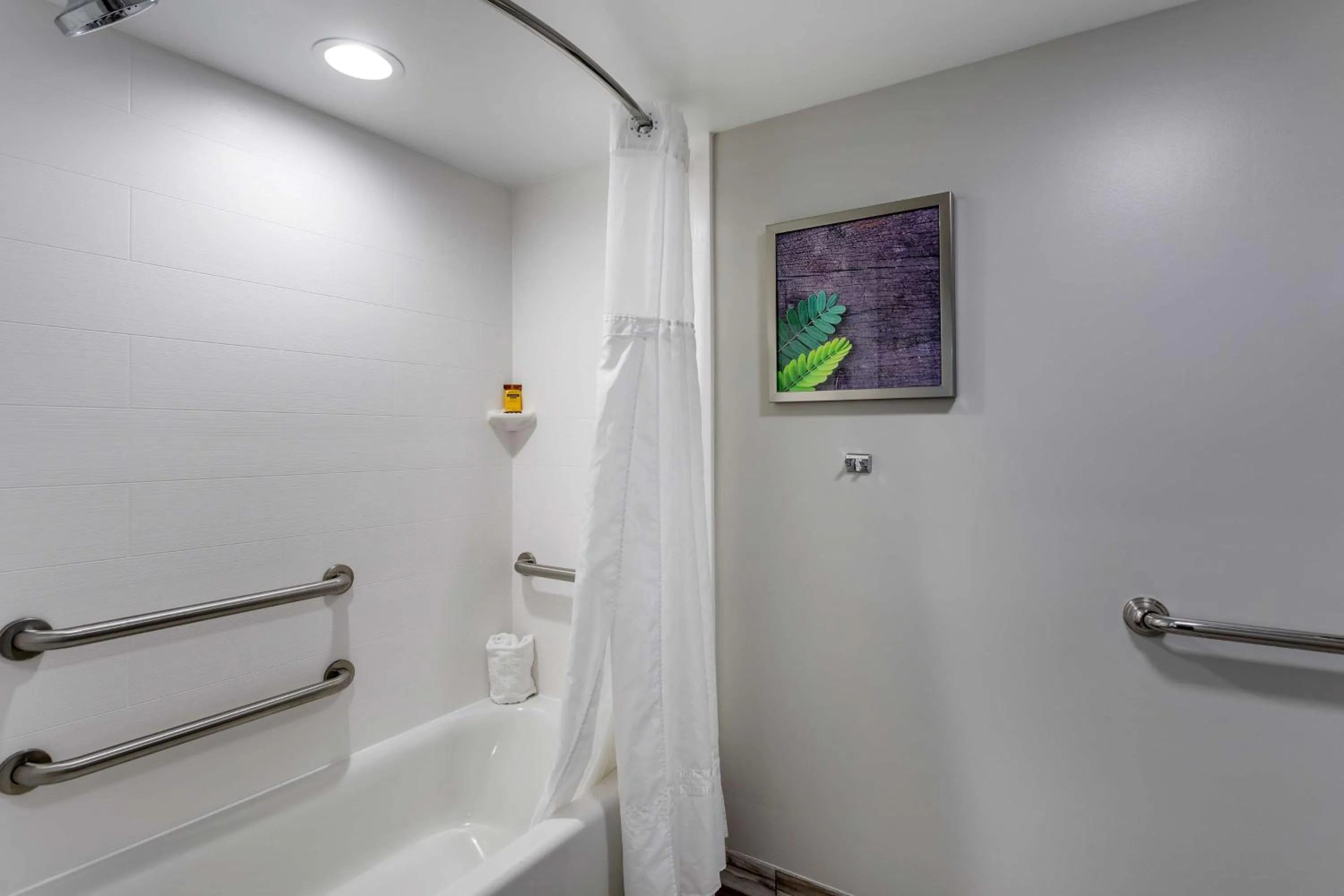 Bathroom in Best Western Plus Apple Valley Lodge Pigeon Forge