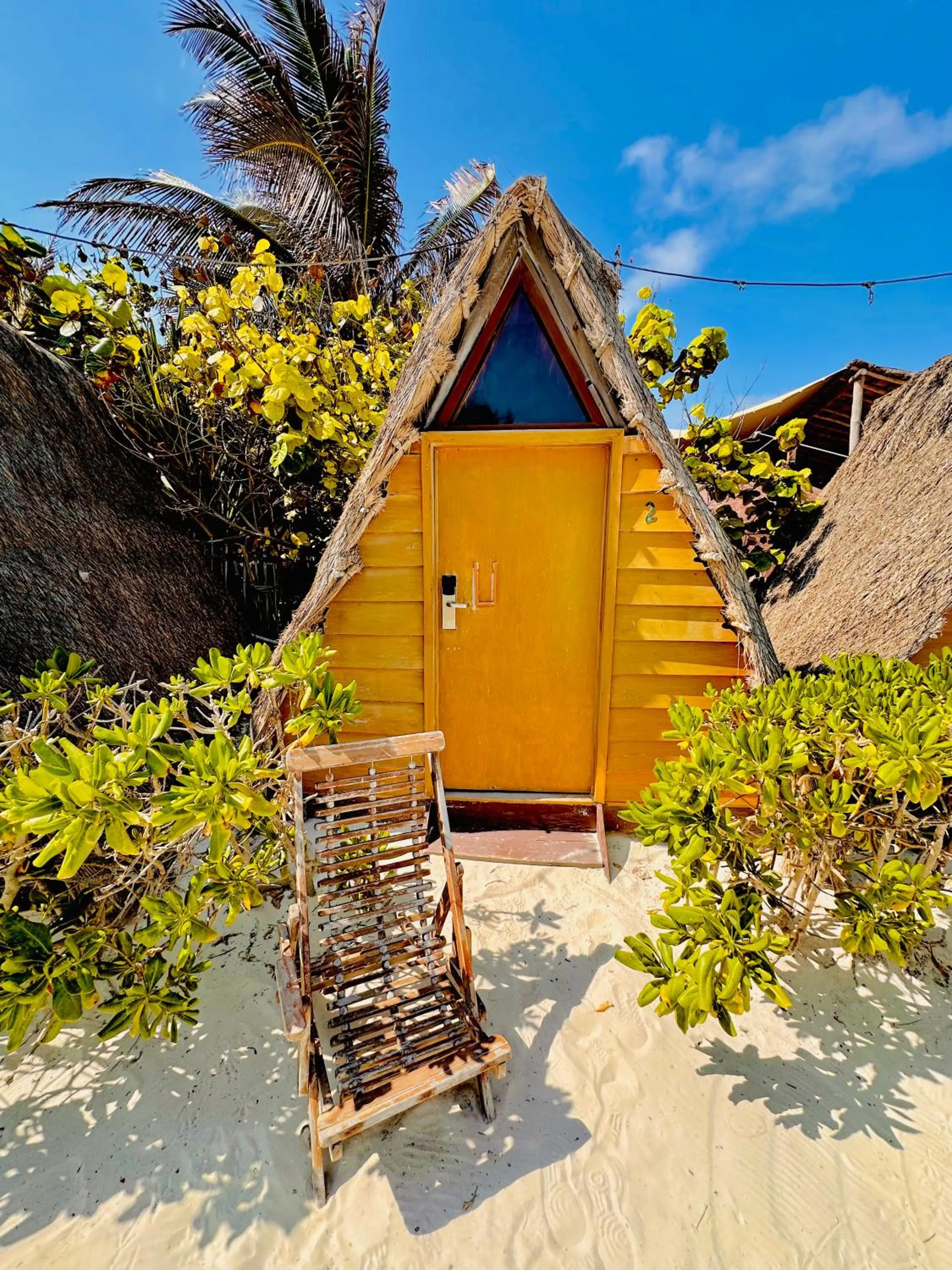 Garden in Mia Tulum Beachfront Resort - Ocean View Suites and Beach Club