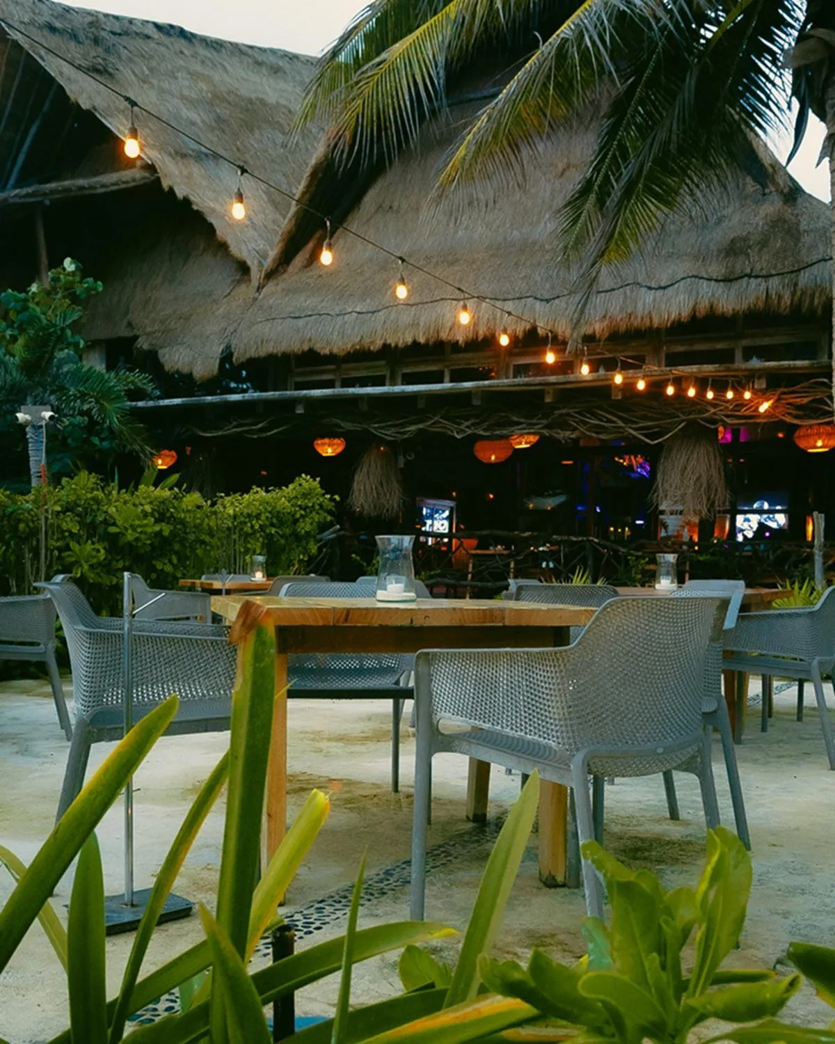 Restaurant/places to eat in Mia Tulum Beachfront Resort - Ocean View Suites and Beach Club