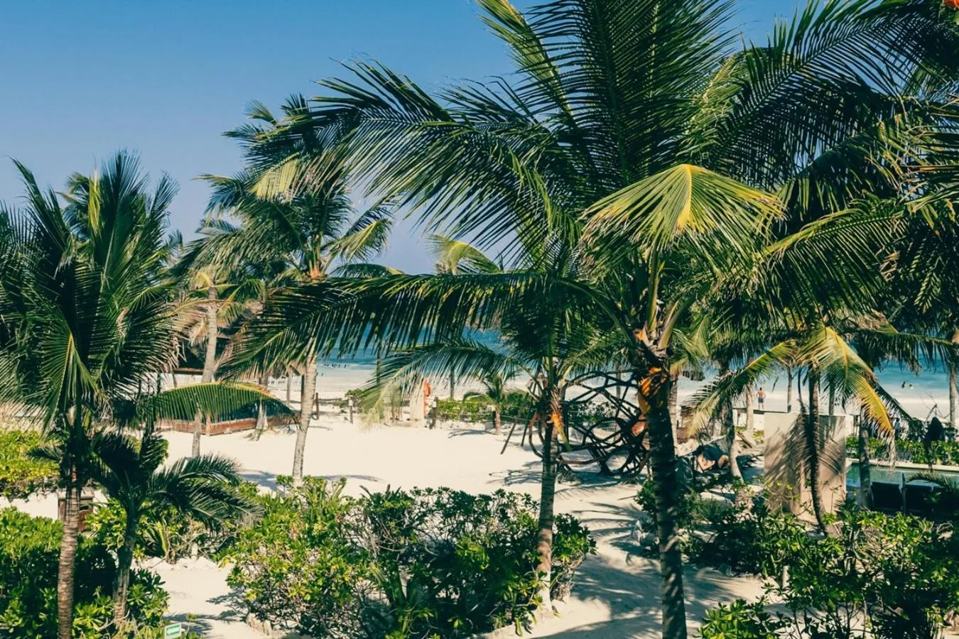 Natural landscape in Mia Tulum Beachfront Resort - Ocean View Suites and Beach Club