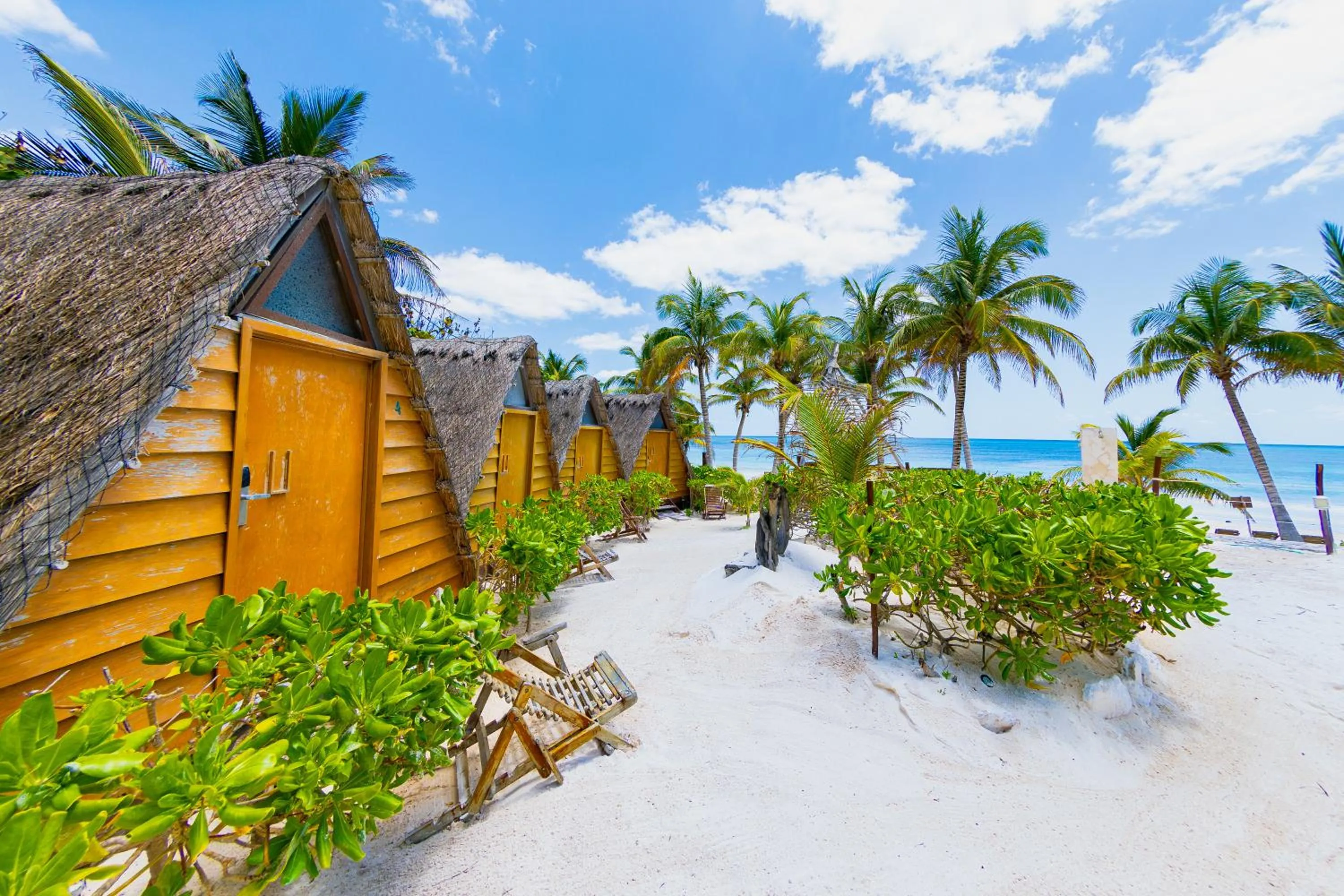 Day in Mia Tulum Beachfront Resort - Ocean View Suites and Beach Club