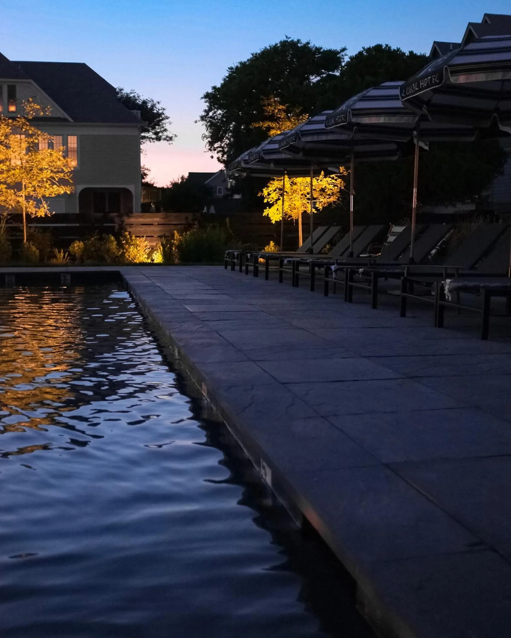 Swimming pool in Lokal Hotel Cape May