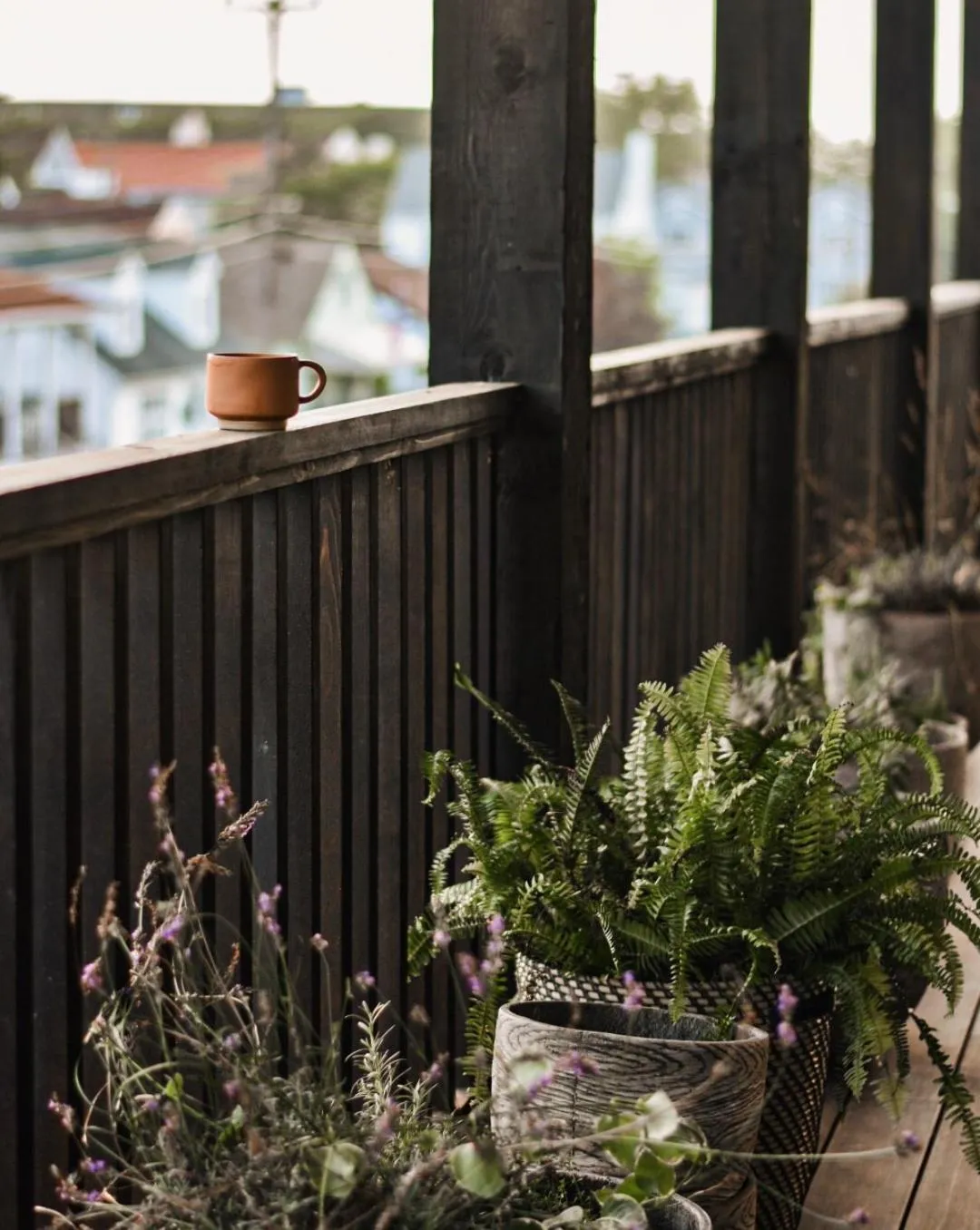 Balcony/Terrace in Lokal Hotel Cape May