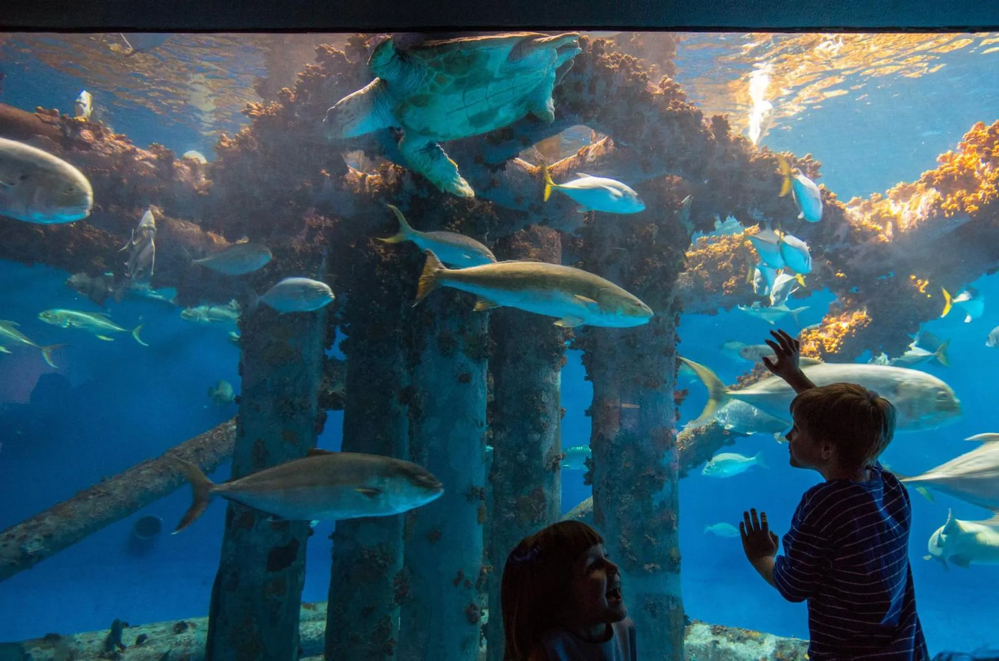 Nearby landmark in Staybridge Suites Corpus Christi by IHG