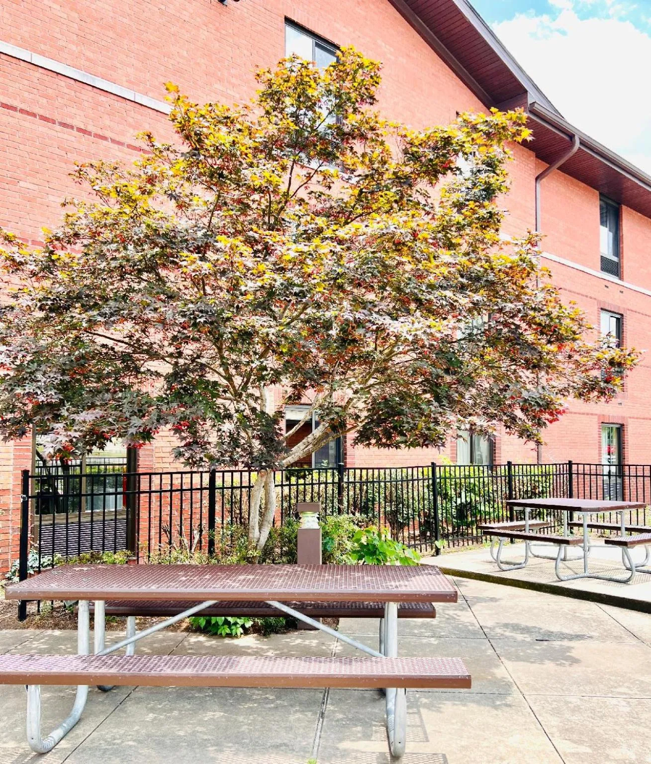 Patio in MainStay Suites Little Rock West Near Medical Centers