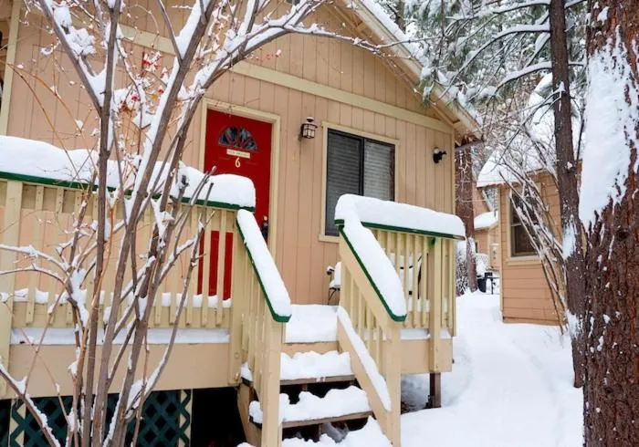 Sleepy Forest Cottages