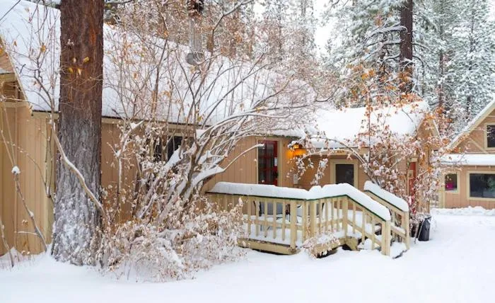 Sleepy Forest Cottages