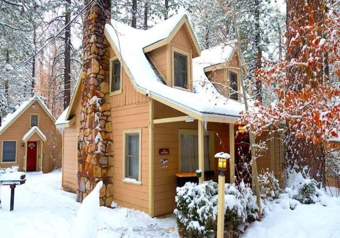 Sleepy Forest Cottages