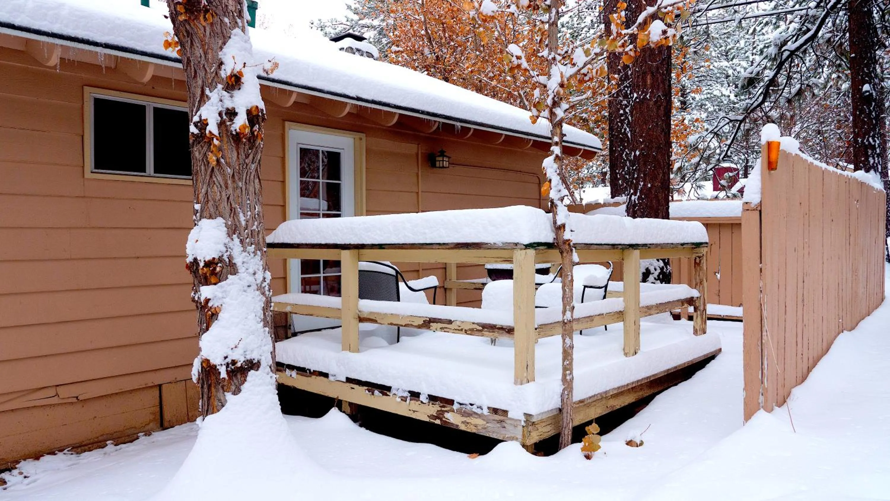 Sleepy Forest Cottages