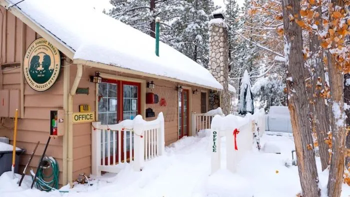 Sleepy Forest Cottages
