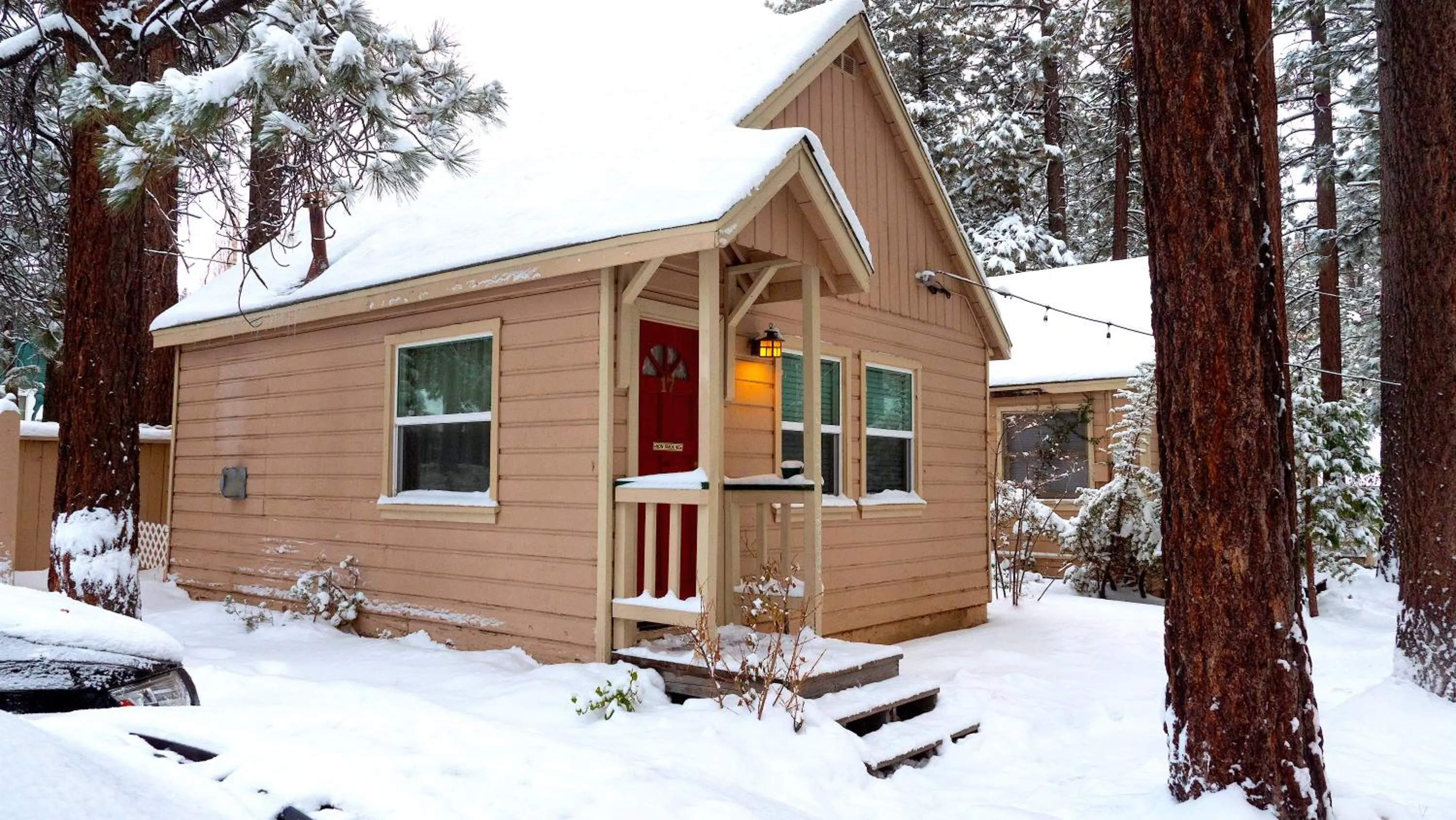 Sleepy Forest Cottages