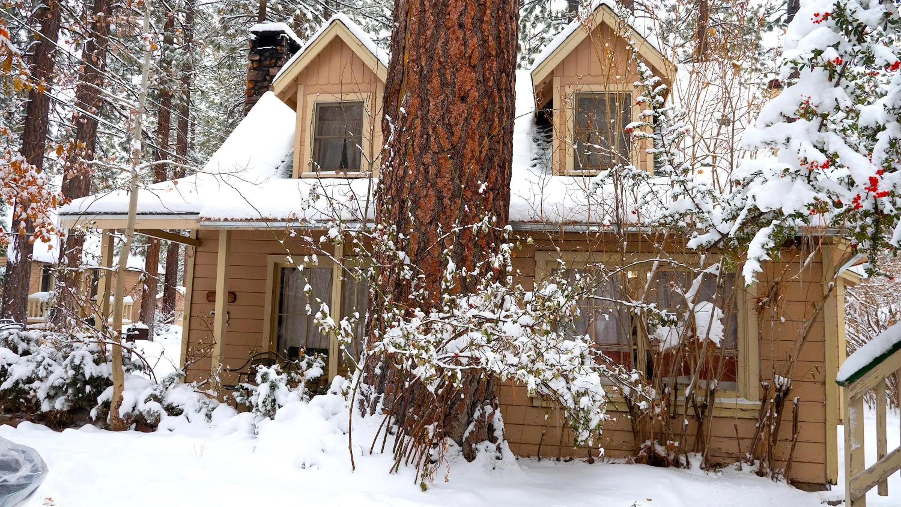 Sleepy Forest Cottages