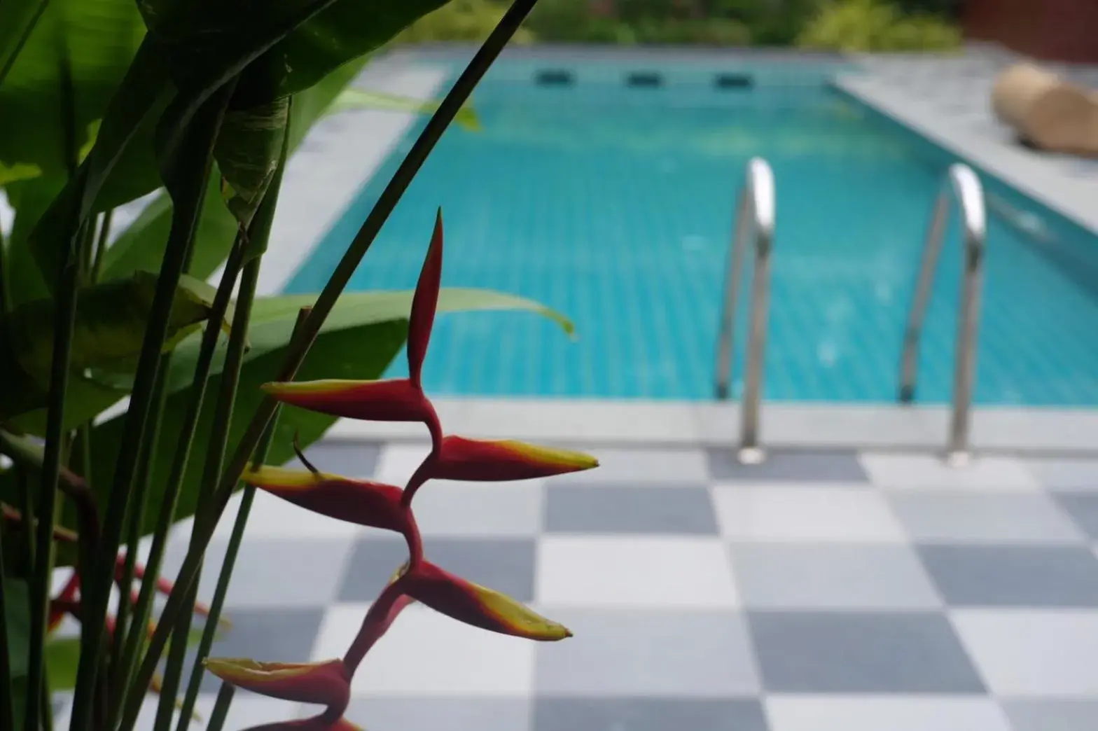 Pool view in Big Buddha Hillside Hotel Pool view in Big Buddha Hillside Hotel