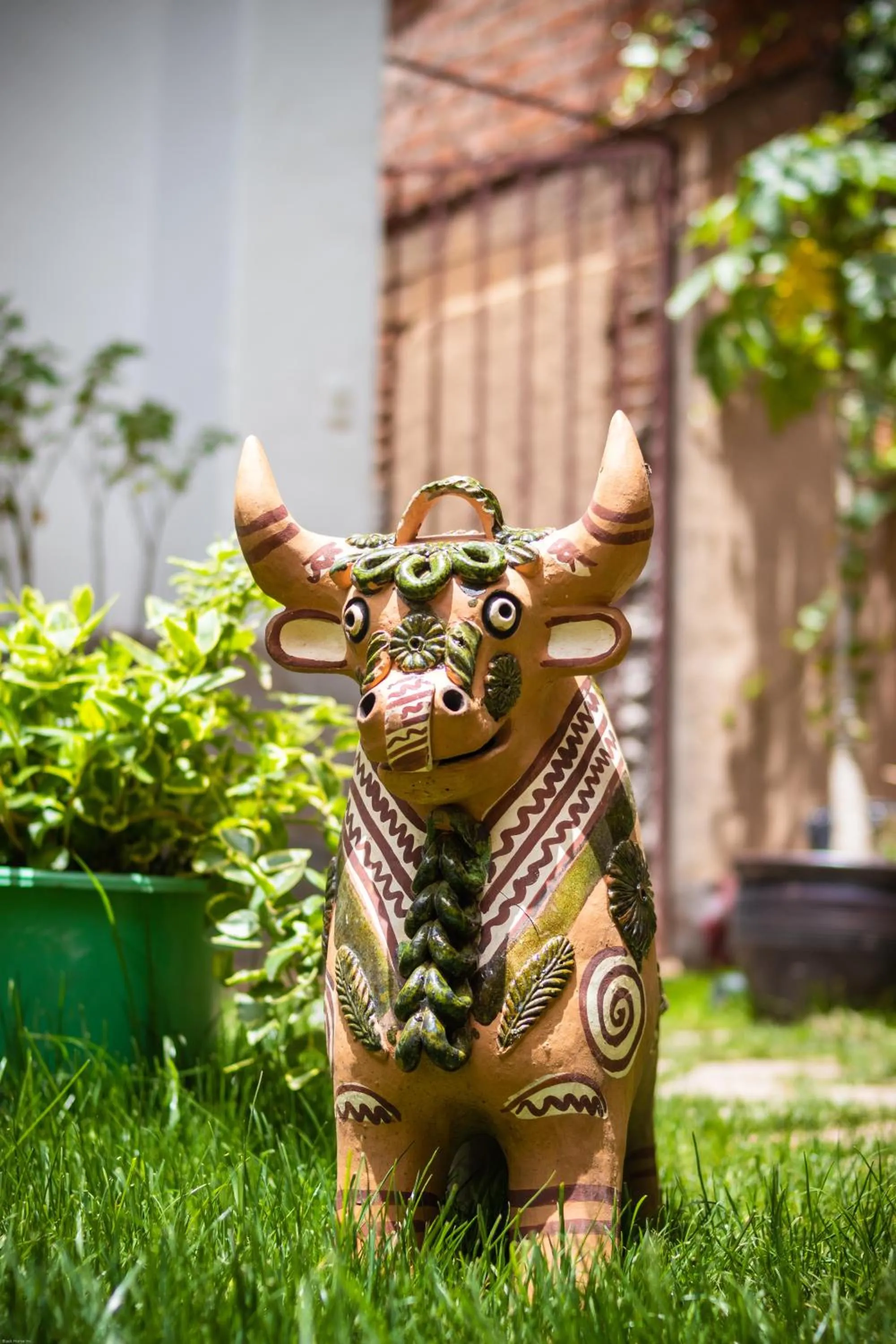 Garden in Home Garden Hotel