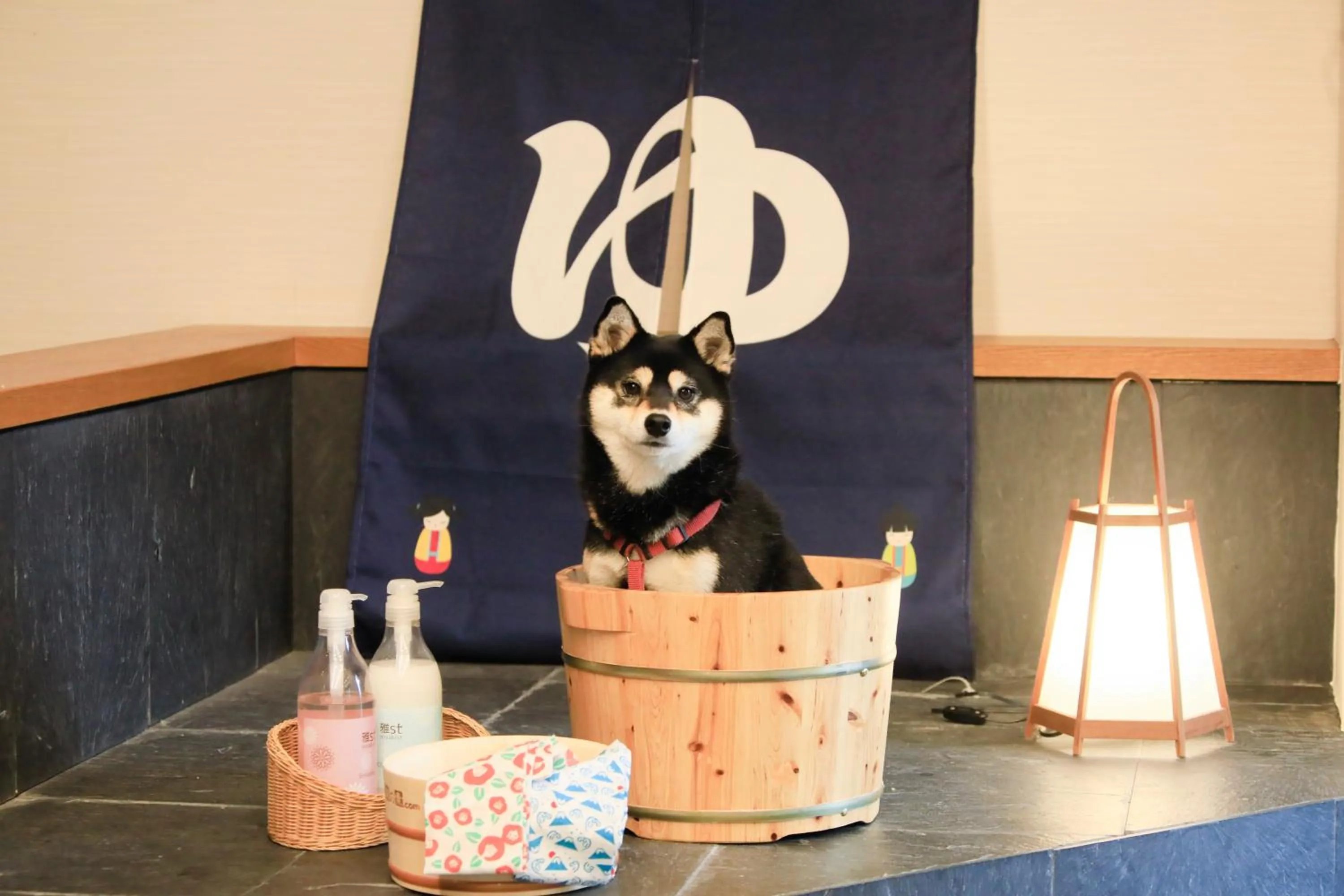 Animals in Yururi Nishiizu