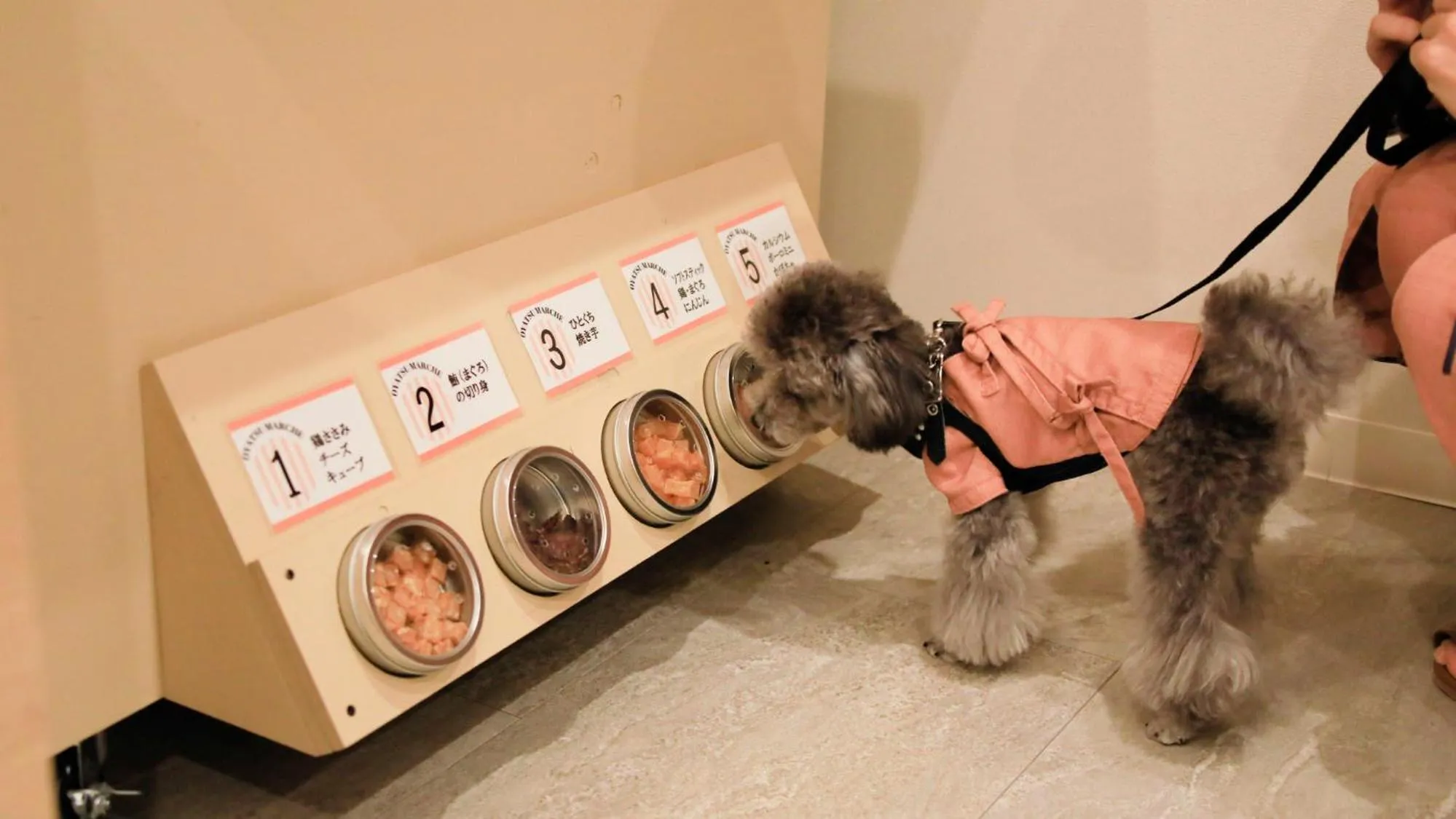 Communal lounge/ TV room in Yururi Nishiizu