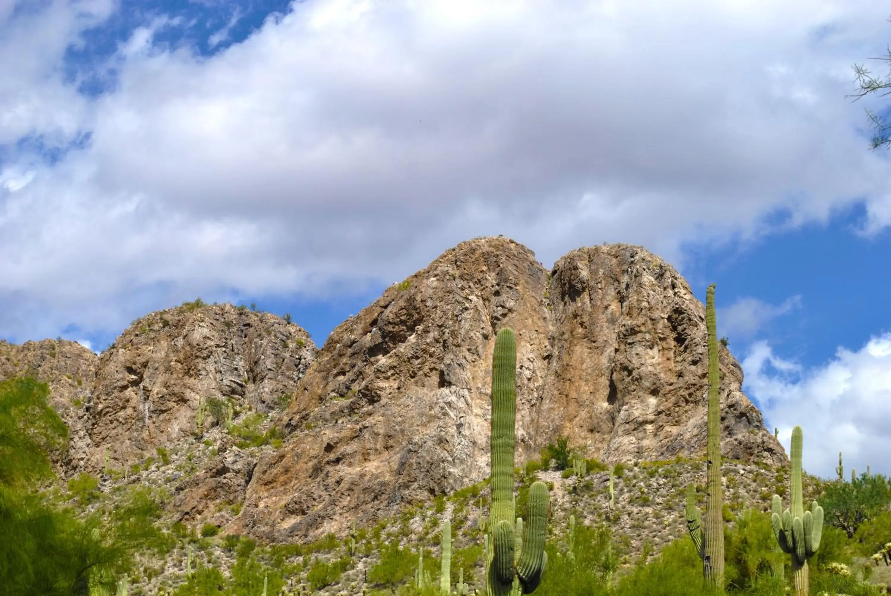 View (from property/room) in Gold Canyon Golf Resort View (from property/room) in Gold Canyon Golf Resort