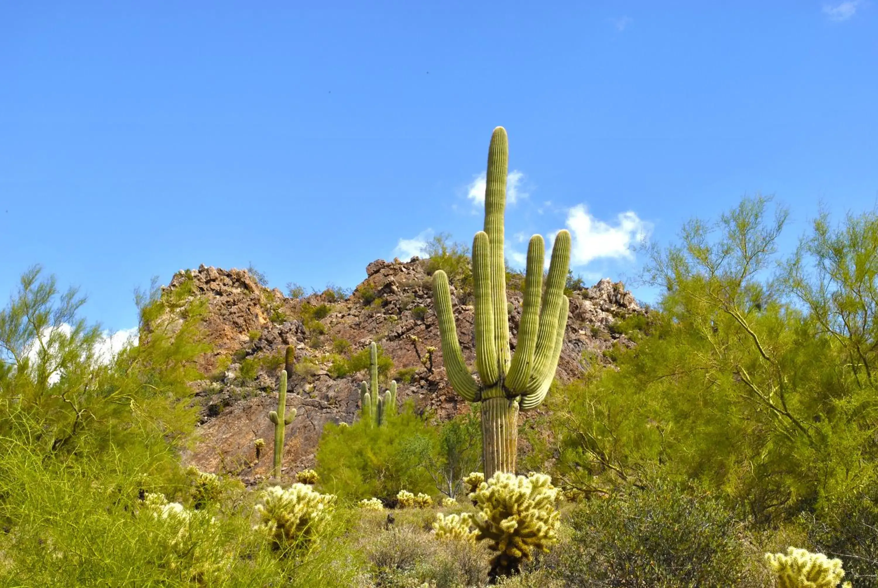 View (from property/room) in Gold Canyon Golf Resort View (from property/room) in Gold Canyon Golf Resort