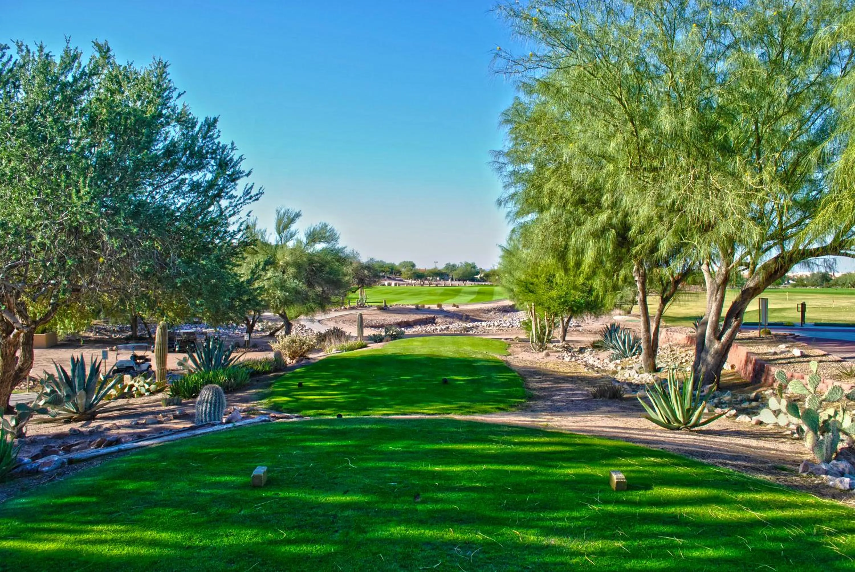 Golfcourse in Gold Canyon Golf Resort