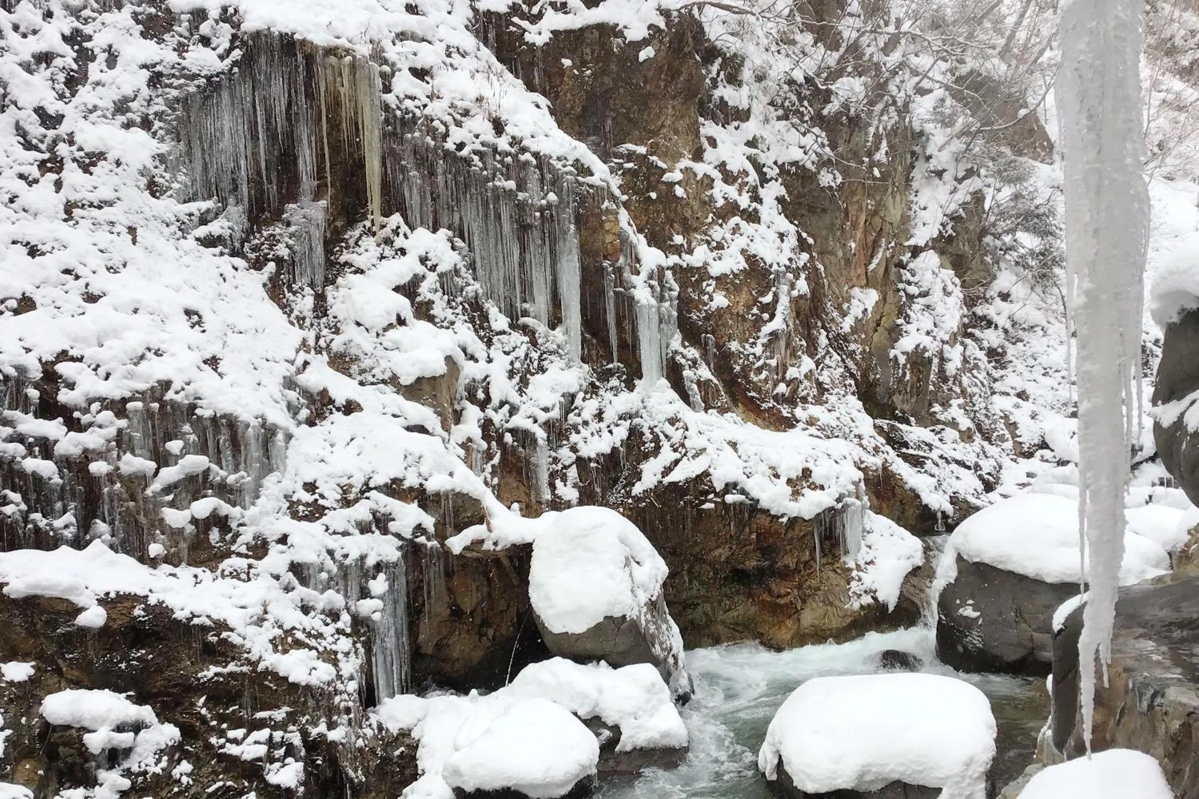Garden in Nikko Nationalpark Kawamata Onsen KURA