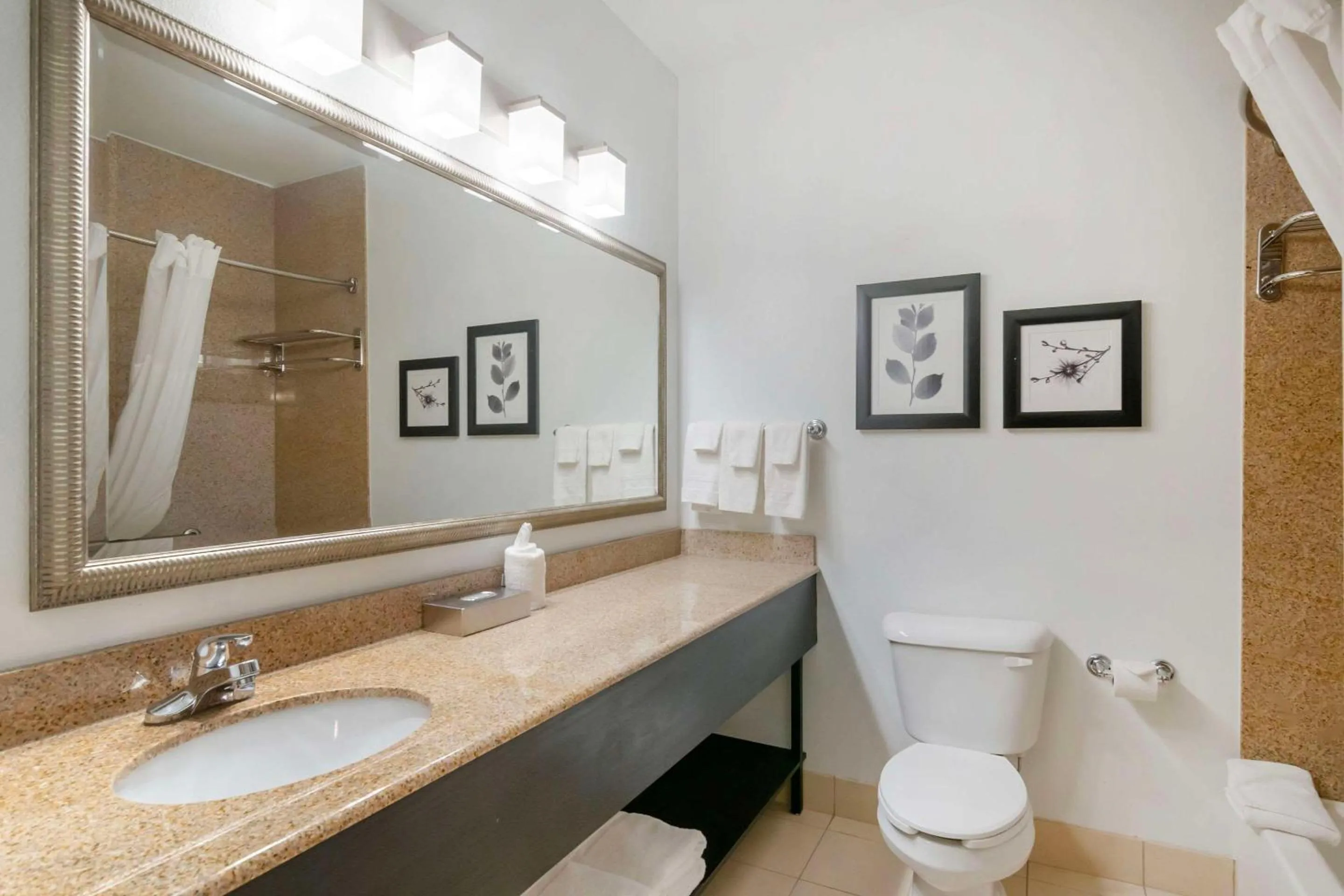 Bedroom in Country Inn & Suites by Radisson, Columbia, MO