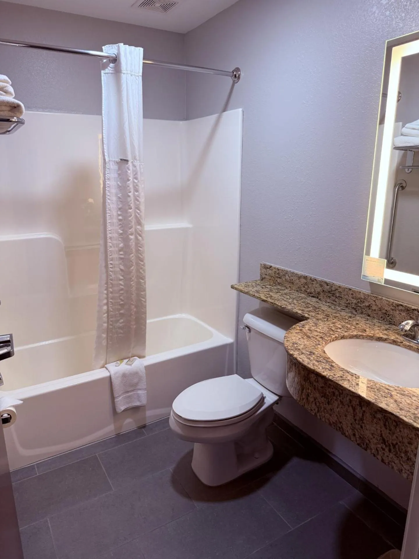 Toilet in Microtel Inn & Suites by Wyndham Wheeling at The Highlands