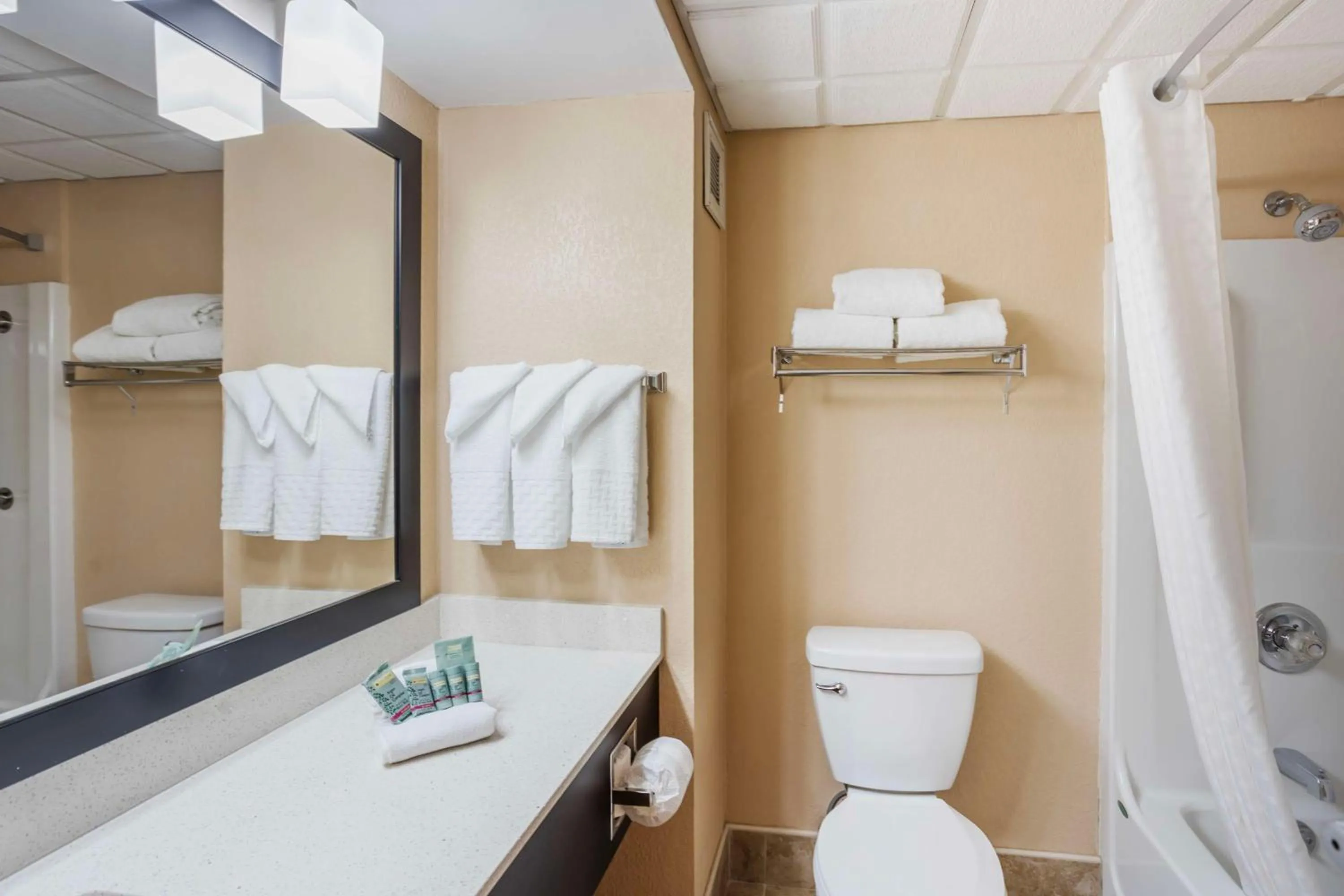 Bathroom in Best Western Inn at Blakeslee-Pocono