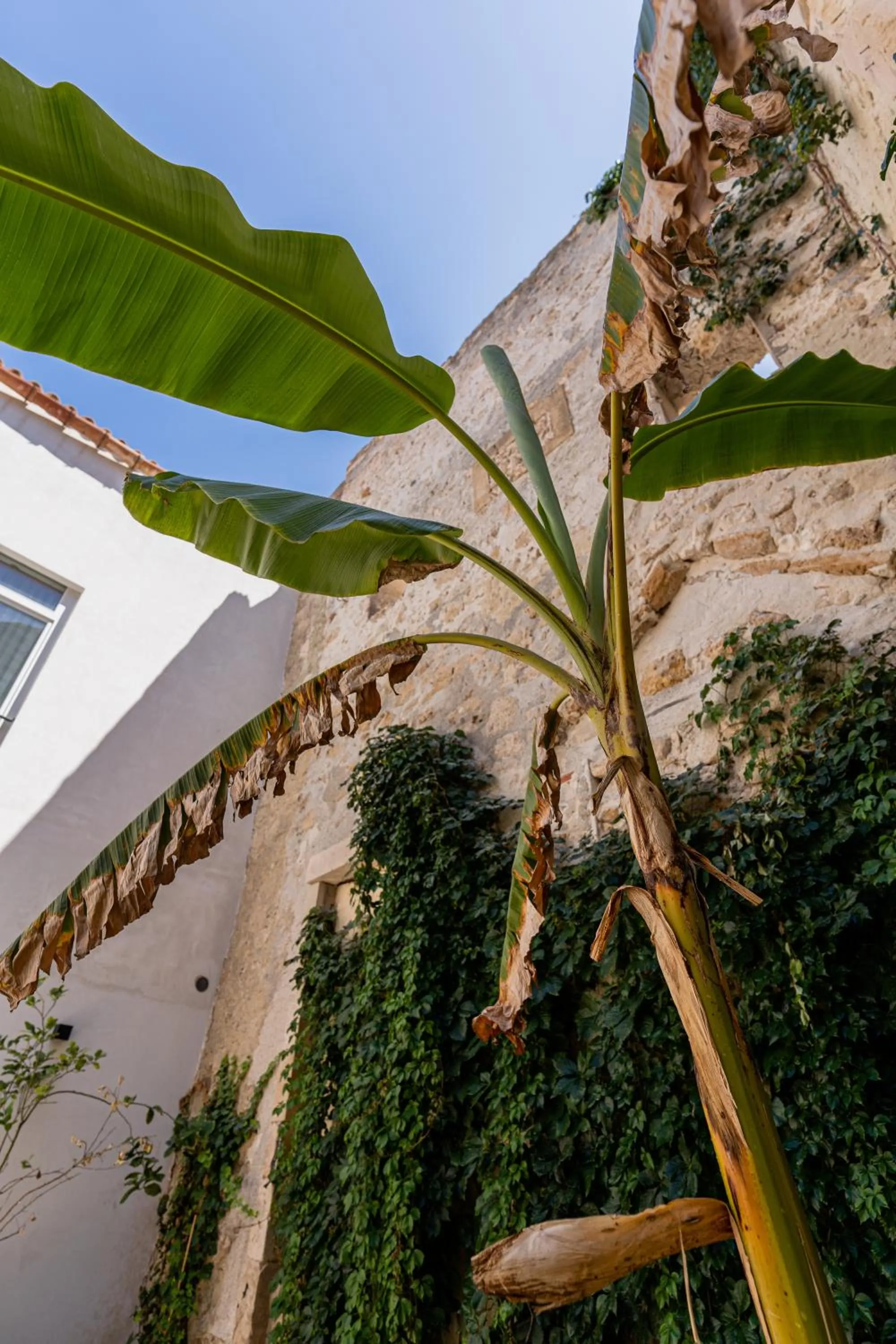 Spring in Isabella di Castiglia Apartments