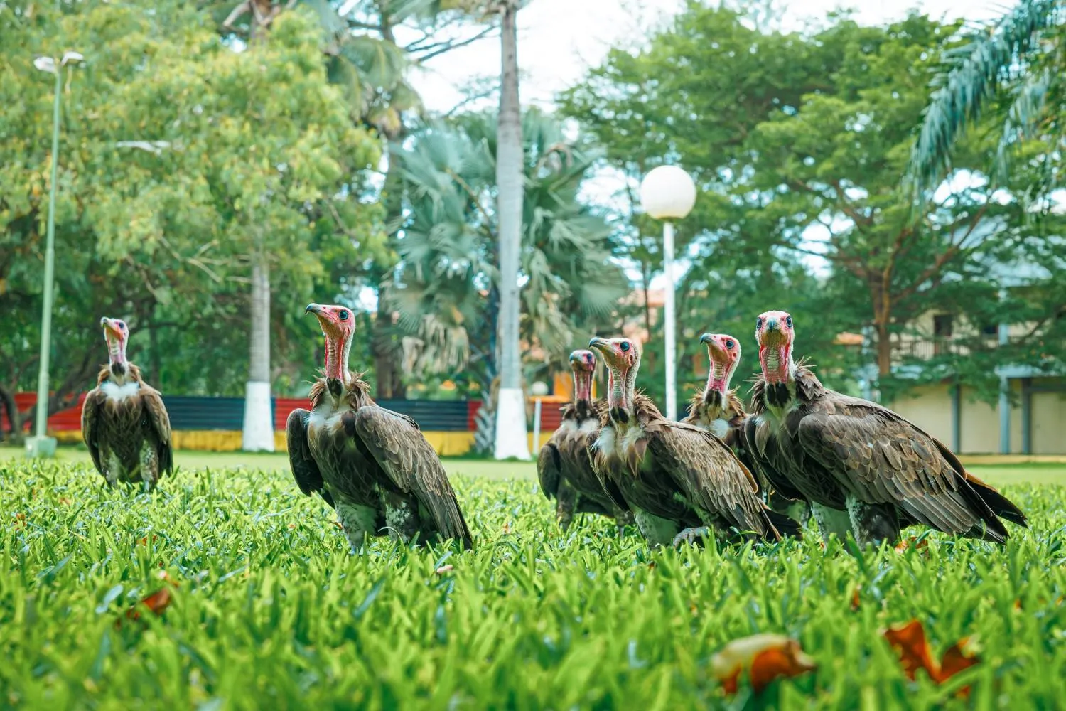 Natural landscape in Senegambia Beach Hotel