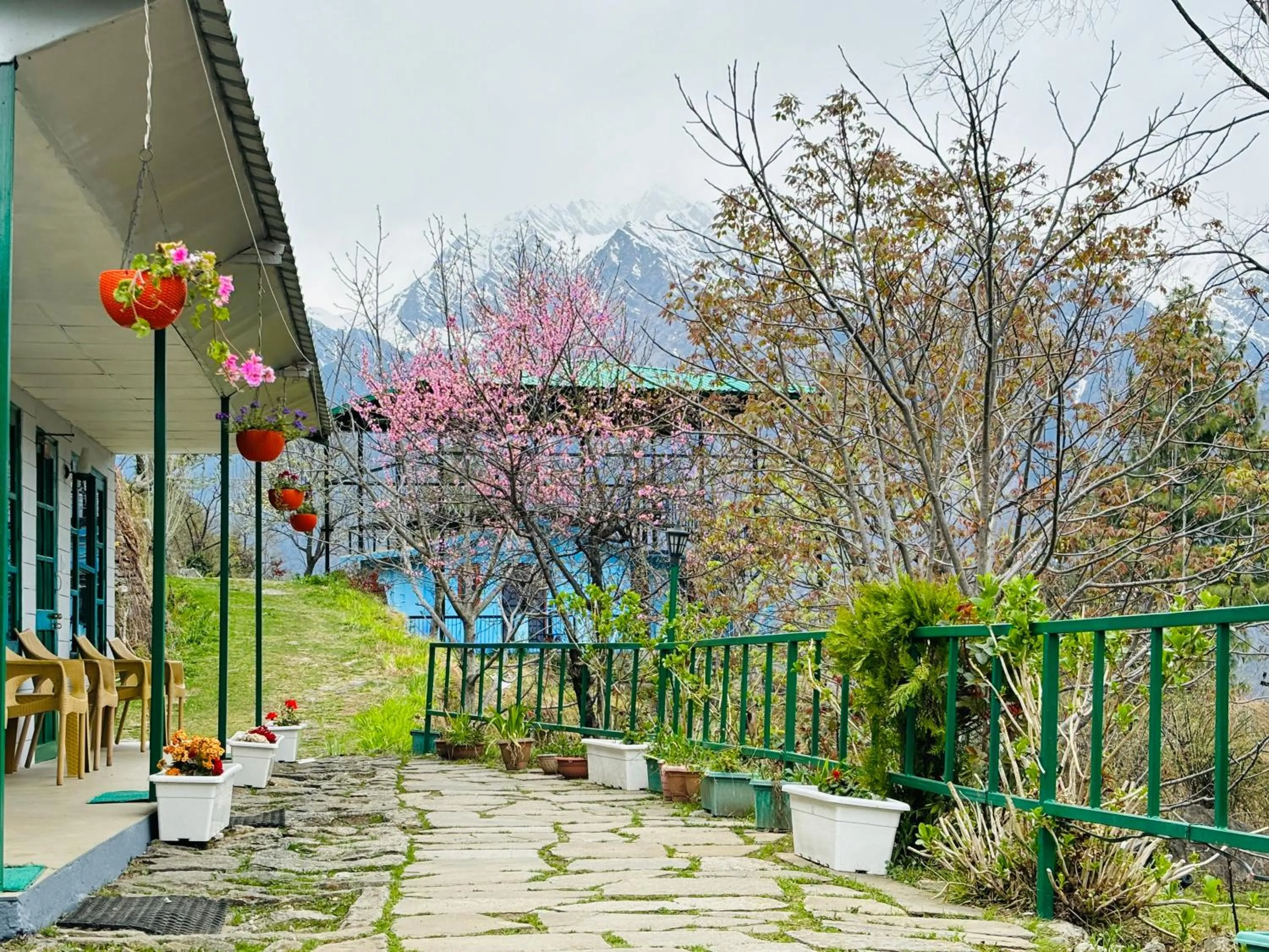 View (from property/room) in Himalayan High, Auli, By Himalayan Eco Lodges