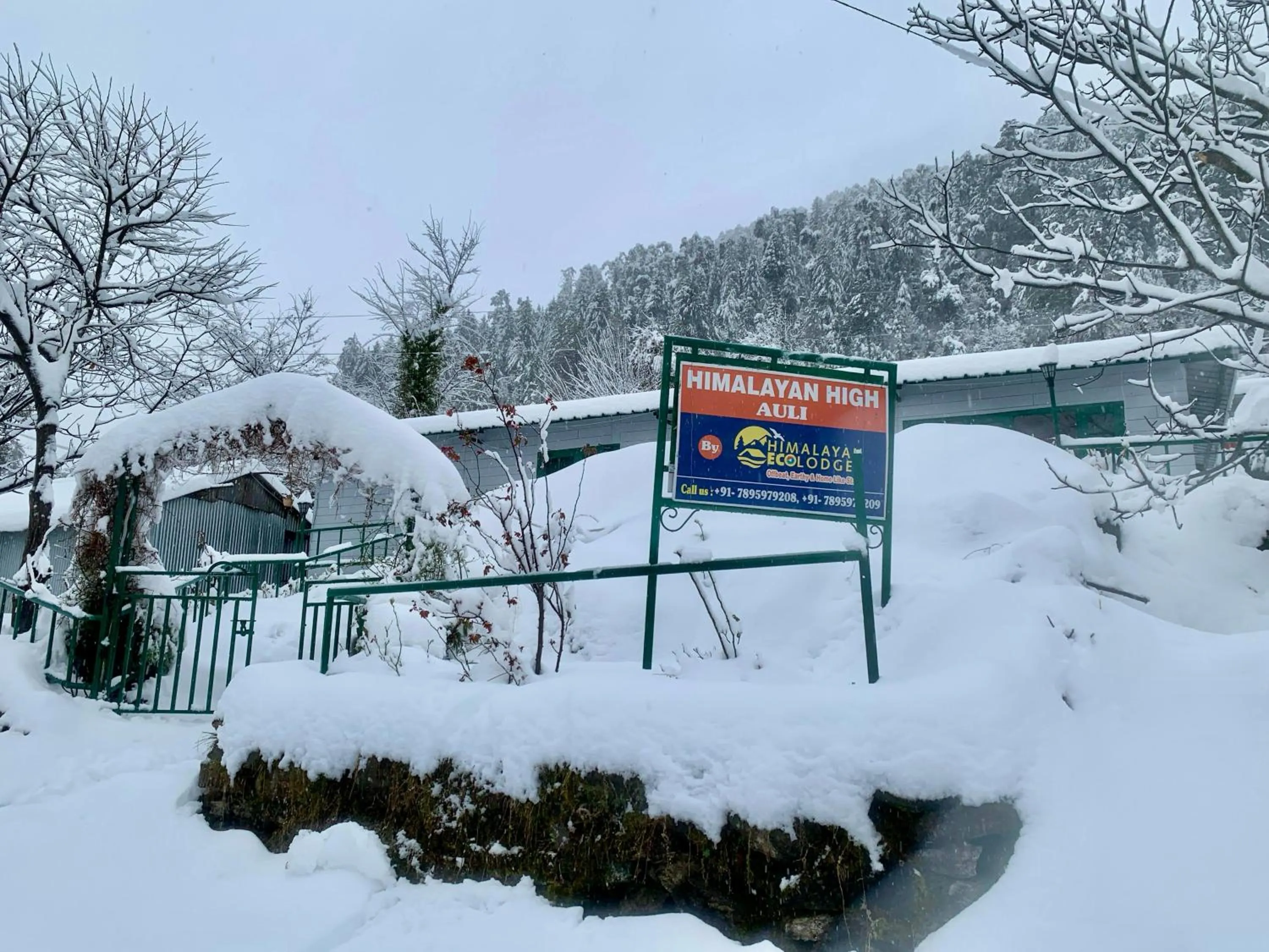 Winter in Himalayan High, Auli, By Himalayan Eco Lodges