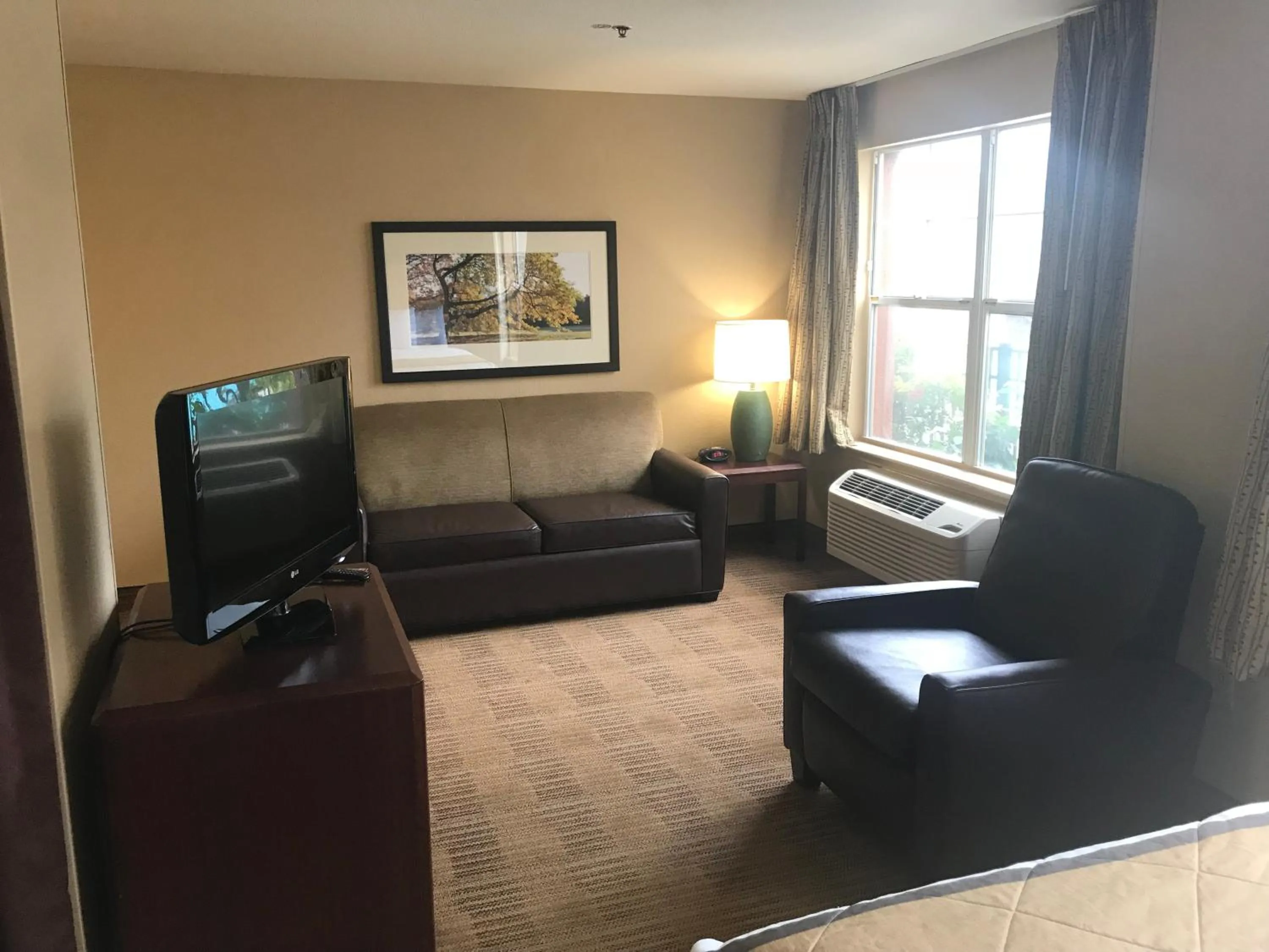 TV and multimedia in LoneStar Suites