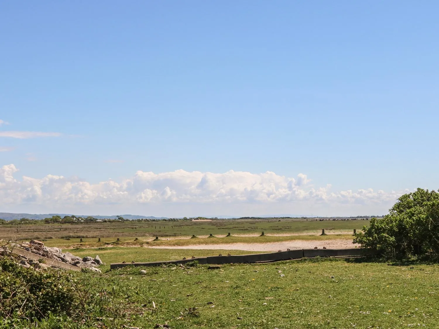 Shorefields One